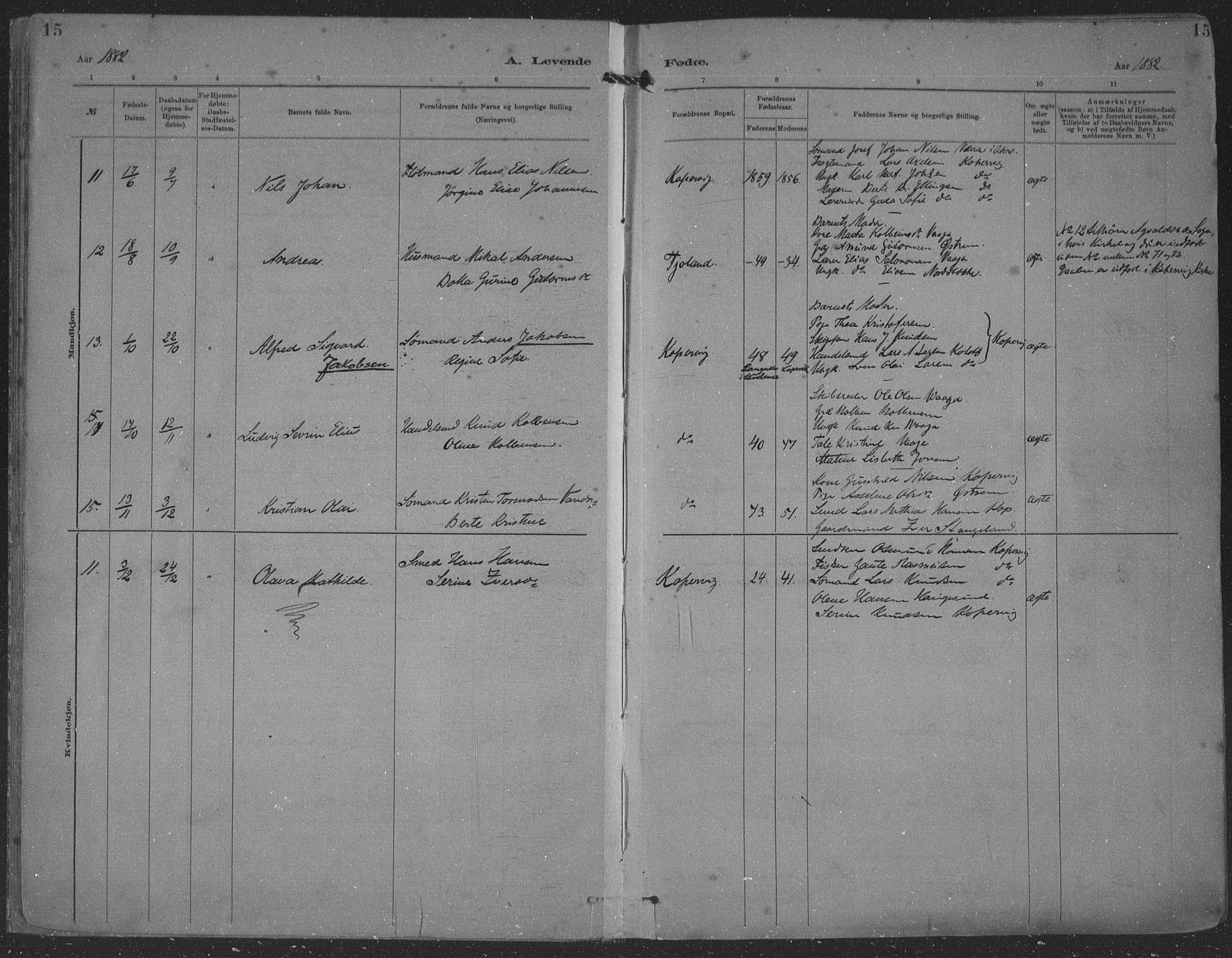 Kopervik sokneprestkontor, AV/SAST-A-101850/H/Ha/Haa/L0001: Parish register (official) no. A 1, 1880-1919, p. 15