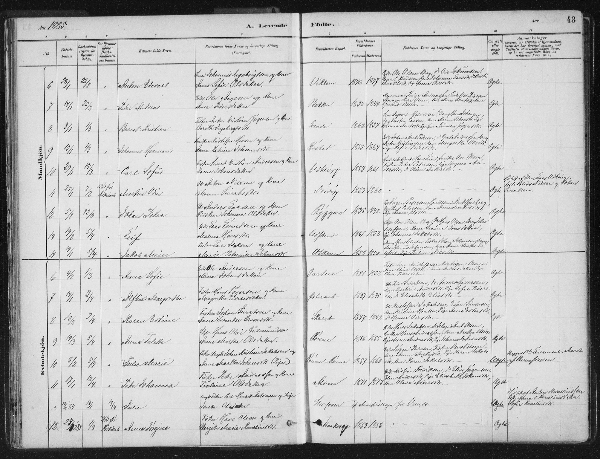 Ministerialprotokoller, klokkerbøker og fødselsregistre - Sør-Trøndelag, SAT/A-1456/659/L0739: Parish register (official) no. 659A09, 1879-1893, p. 43
