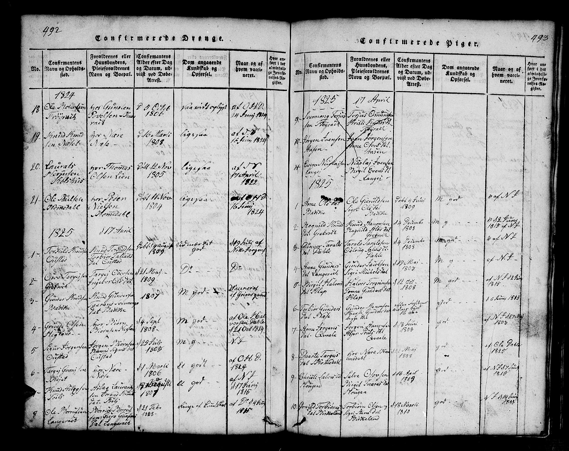 Bygland sokneprestkontor, SAK/1111-0006/F/Fb/Fbb/L0001: Parish register (copy) no. B 1, 1816-1843, p. 493-494