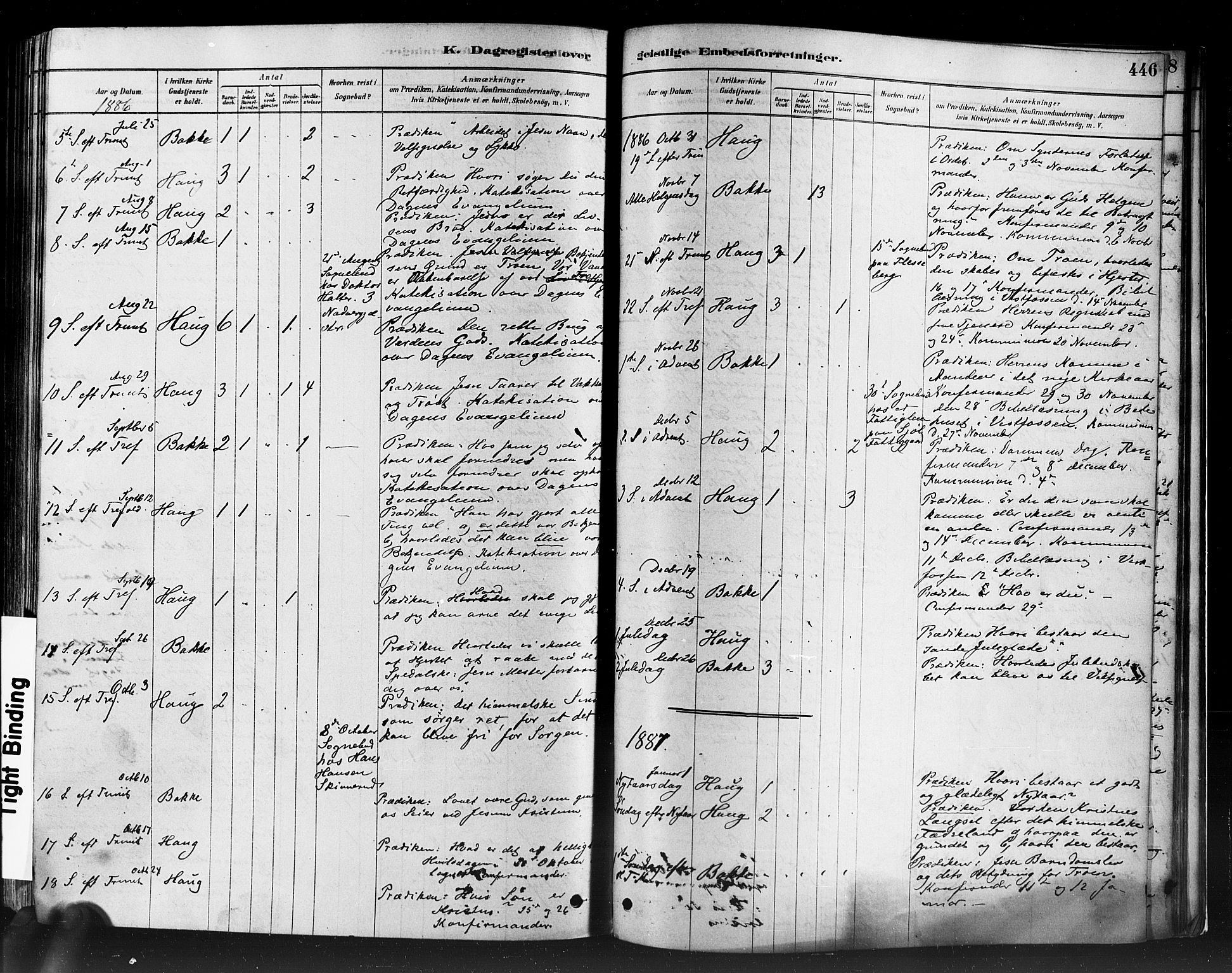 Eiker kirkebøker, SAKO/A-4/F/Fb/L0001: Parish register (official) no. II 1, 1878-1888, p. 446