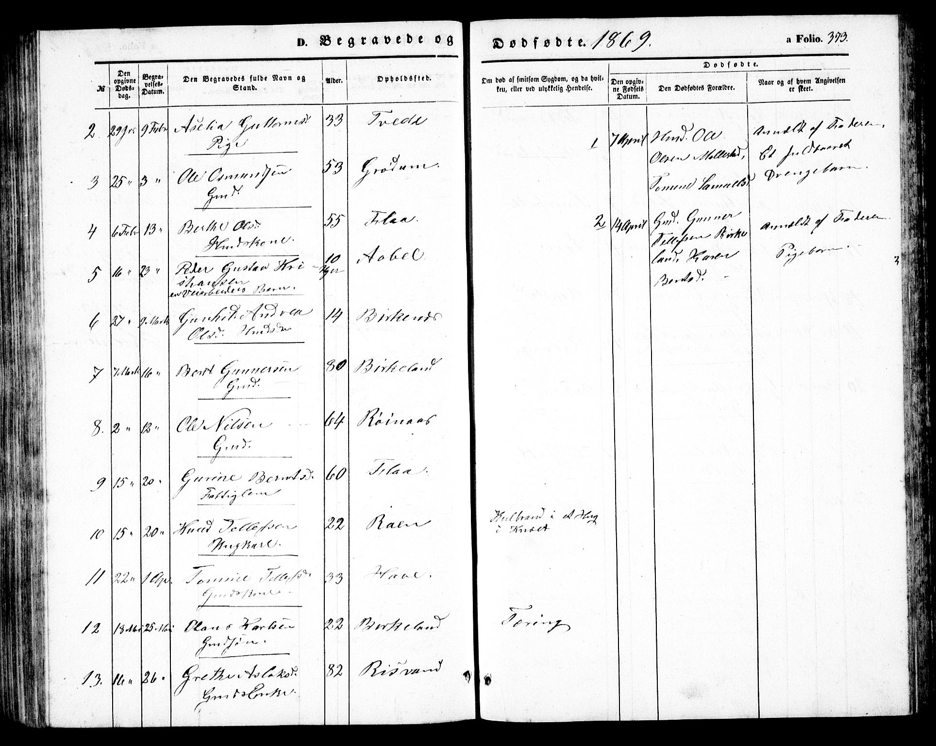 Birkenes sokneprestkontor, AV/SAK-1111-0004/F/Fb/L0002: Parish register (copy) no. B 2, 1849-1876, p. 373