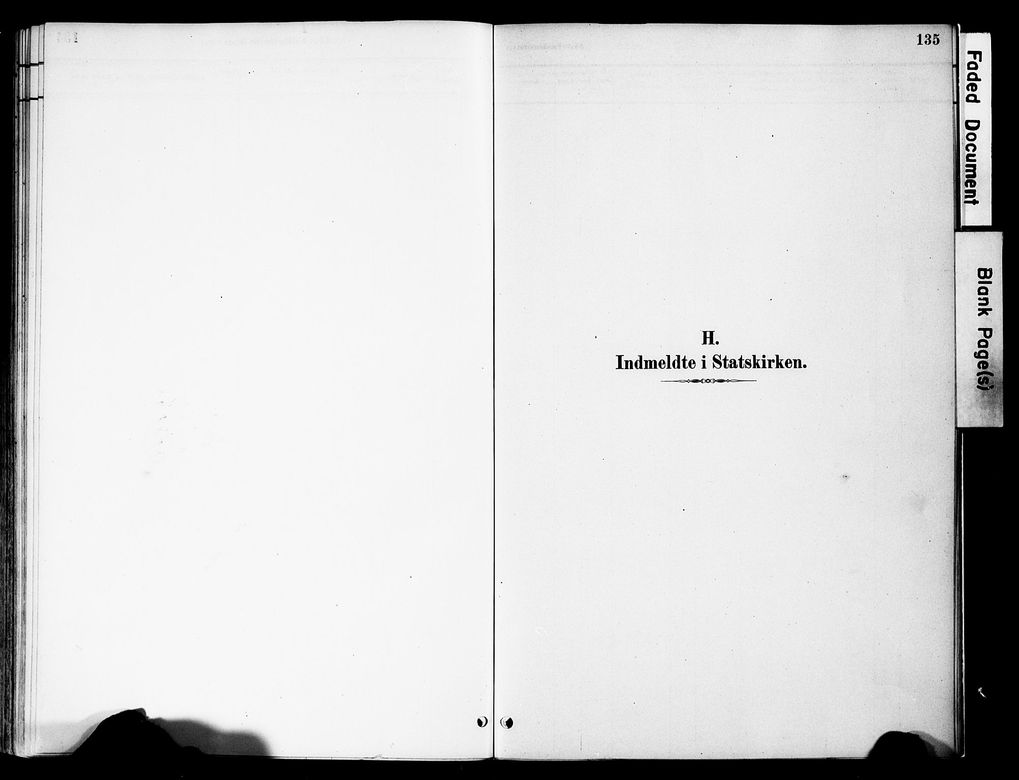 Vestre Slidre prestekontor, SAH/PREST-136/H/Ha/Haa/L0005: Parish register (official) no. 5, 1881-1912, p. 135