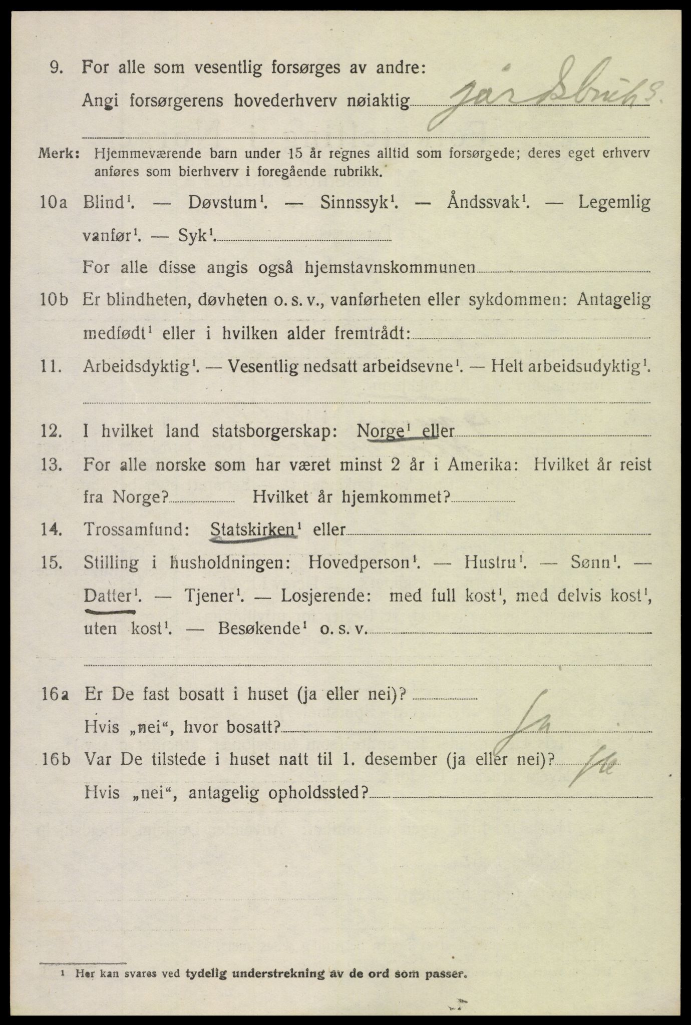 SAH, 1920 census for Nord-Aurdal, 1920, p. 3315