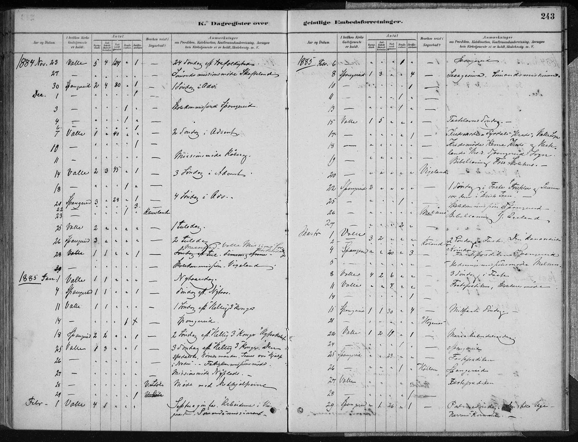 Sør-Audnedal sokneprestkontor, SAK/1111-0039/F/Fa/Fab/L0009: Parish register (official) no. A 9, 1880-1895, p. 243