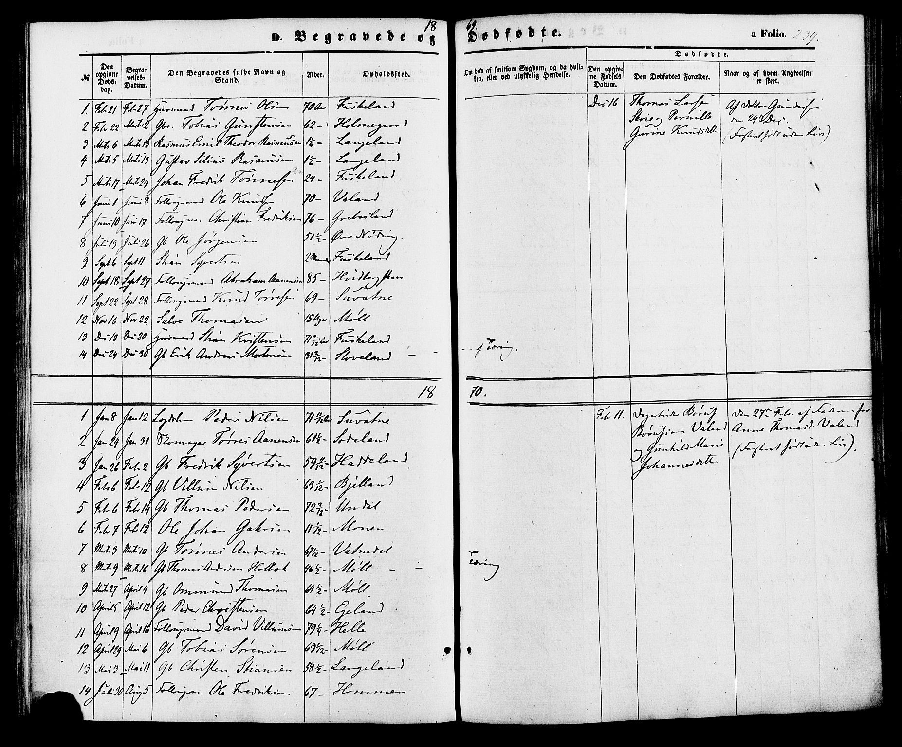 Holum sokneprestkontor, AV/SAK-1111-0022/F/Fa/Faa/L0006: Parish register (official) no. A 6, 1865-1883, p. 239