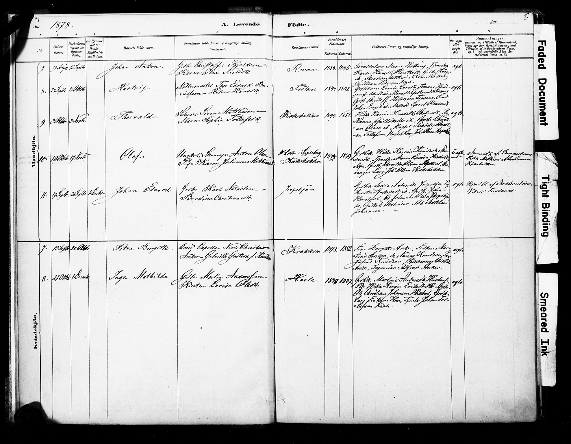 Ramnes kirkebøker, AV/SAKO-A-314/F/Fb/L0001: Parish register (official) no. II 1, 1878-1894, p. 4-5