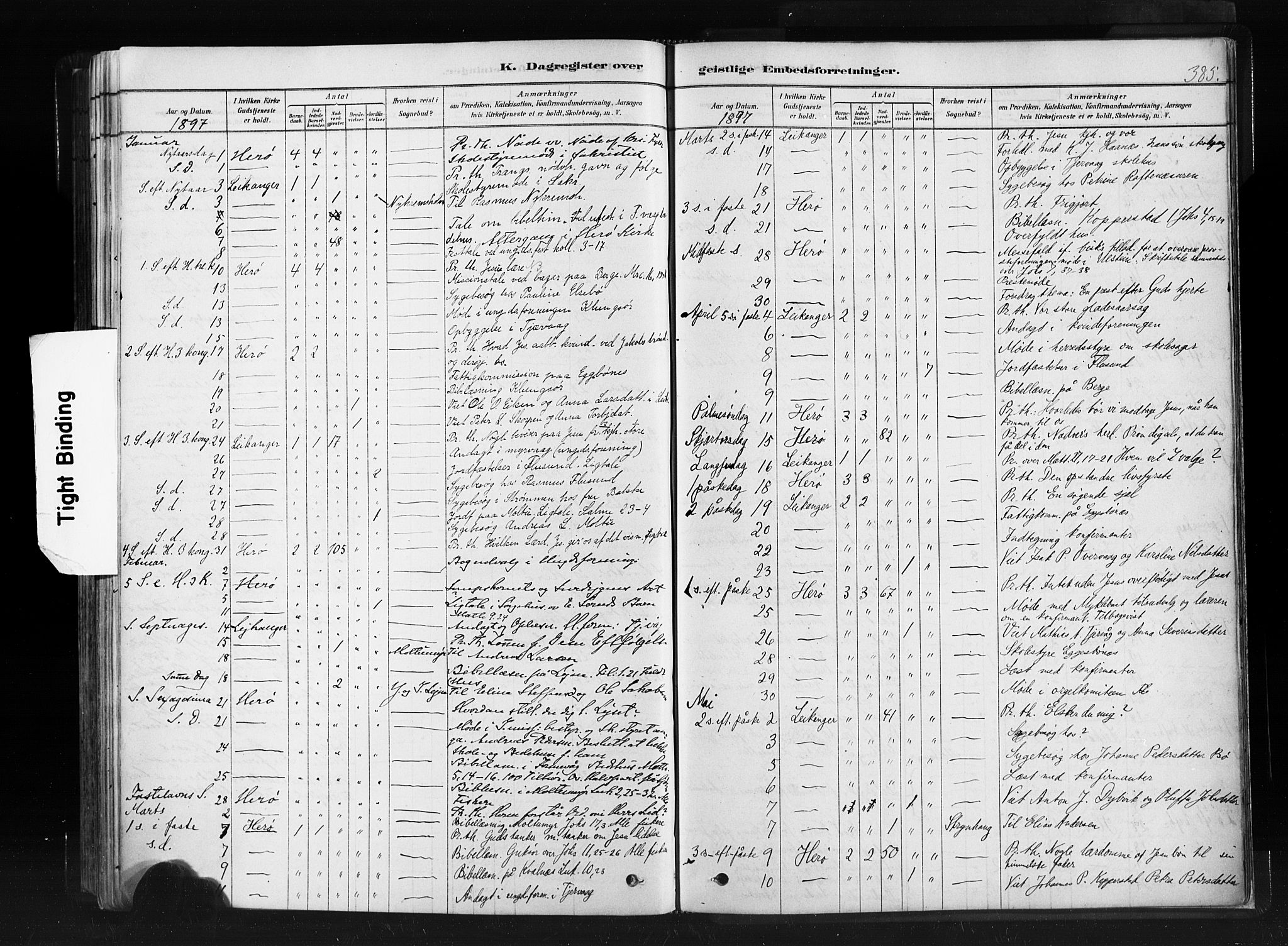 Ministerialprotokoller, klokkerbøker og fødselsregistre - Møre og Romsdal, SAT/A-1454/507/L0073: Parish register (official) no. 507A08, 1878-1904, p. 385