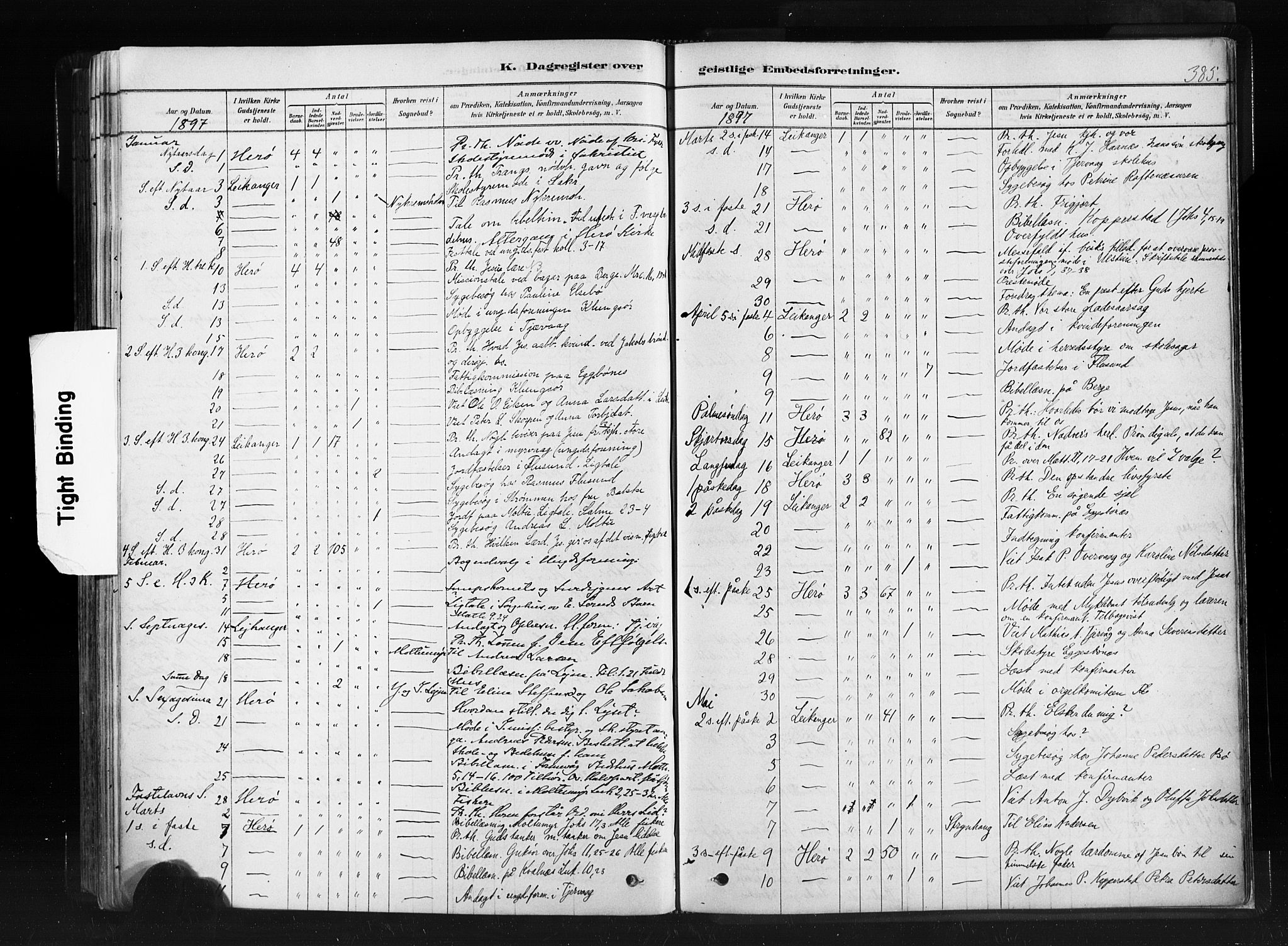 Ministerialprotokoller, klokkerbøker og fødselsregistre - Møre og Romsdal, AV/SAT-A-1454/507/L0073: Parish register (official) no. 507A08, 1878-1904, p. 385