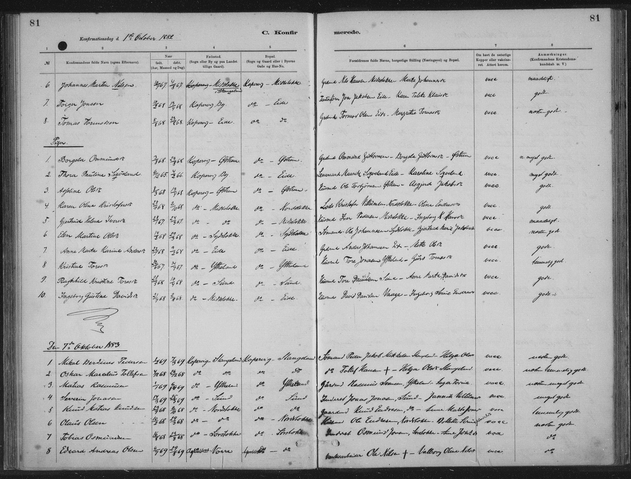 Kopervik sokneprestkontor, SAST/A-101850/H/Ha/Haa/L0002: Parish register (official) no. A 2, 1880-1912, p. 81