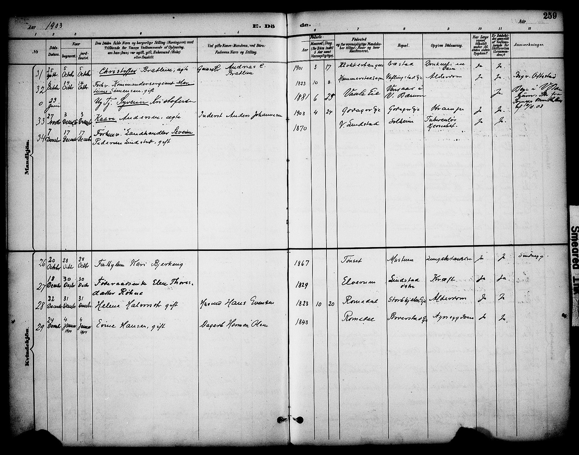 Stange prestekontor, SAH/PREST-002/K/L0020: Parish register (official) no. 20, 1894-1905, p. 259