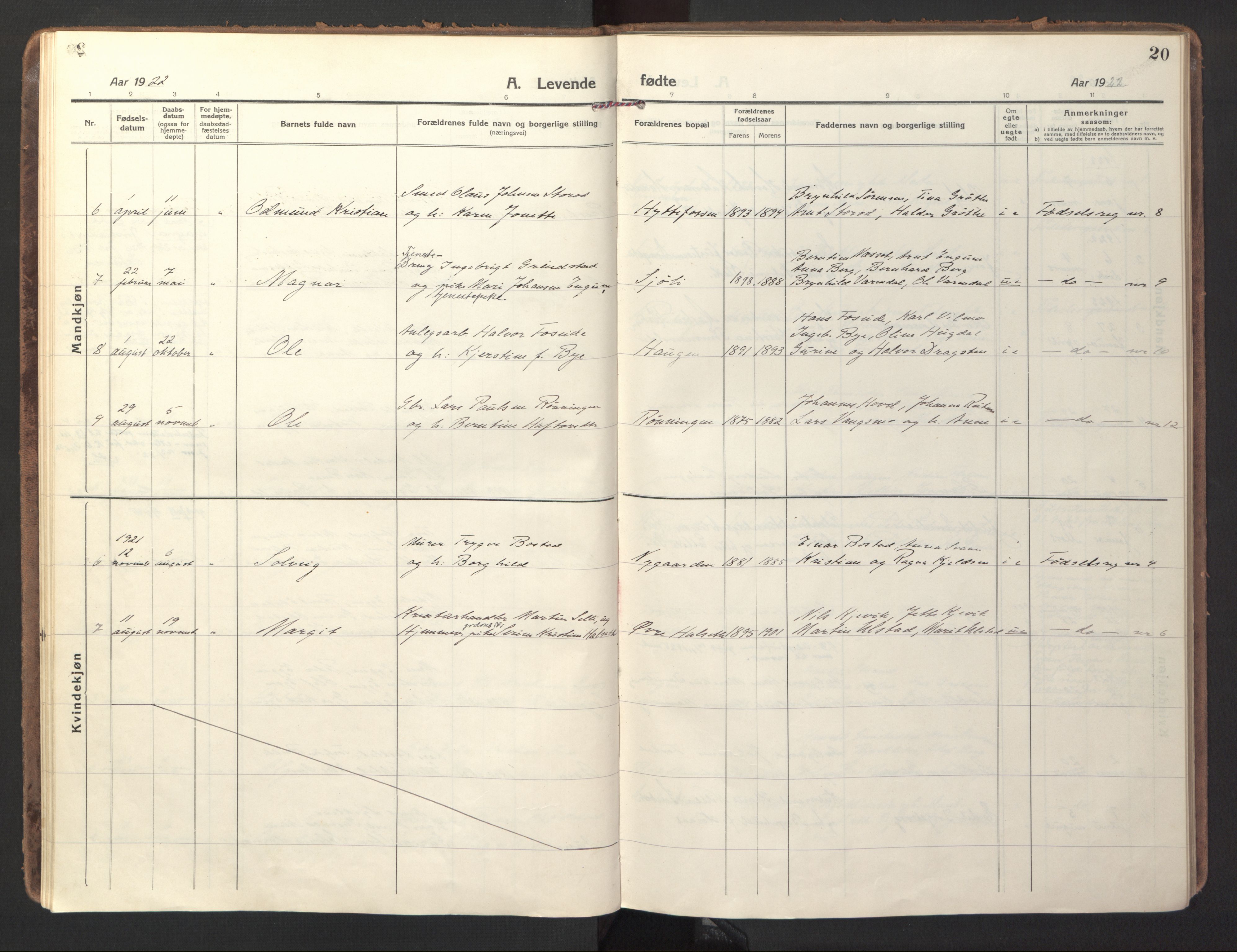 Ministerialprotokoller, klokkerbøker og fødselsregistre - Sør-Trøndelag, SAT/A-1456/618/L0449: Parish register (official) no. 618A12, 1917-1924, p. 20