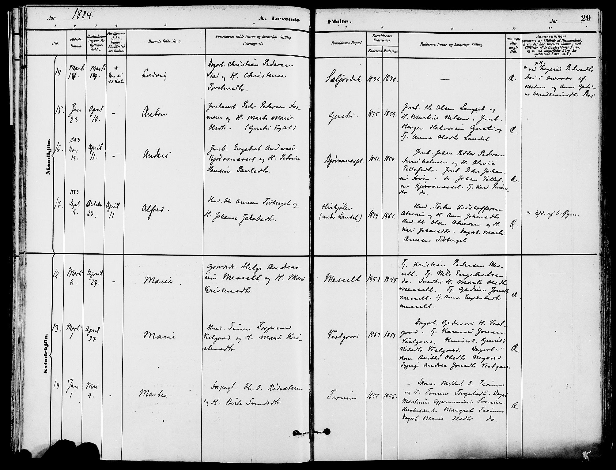 Stor-Elvdal prestekontor, SAH/PREST-052/H/Ha/Haa/L0002: Parish register (official) no. 2, 1882-1907, p. 29