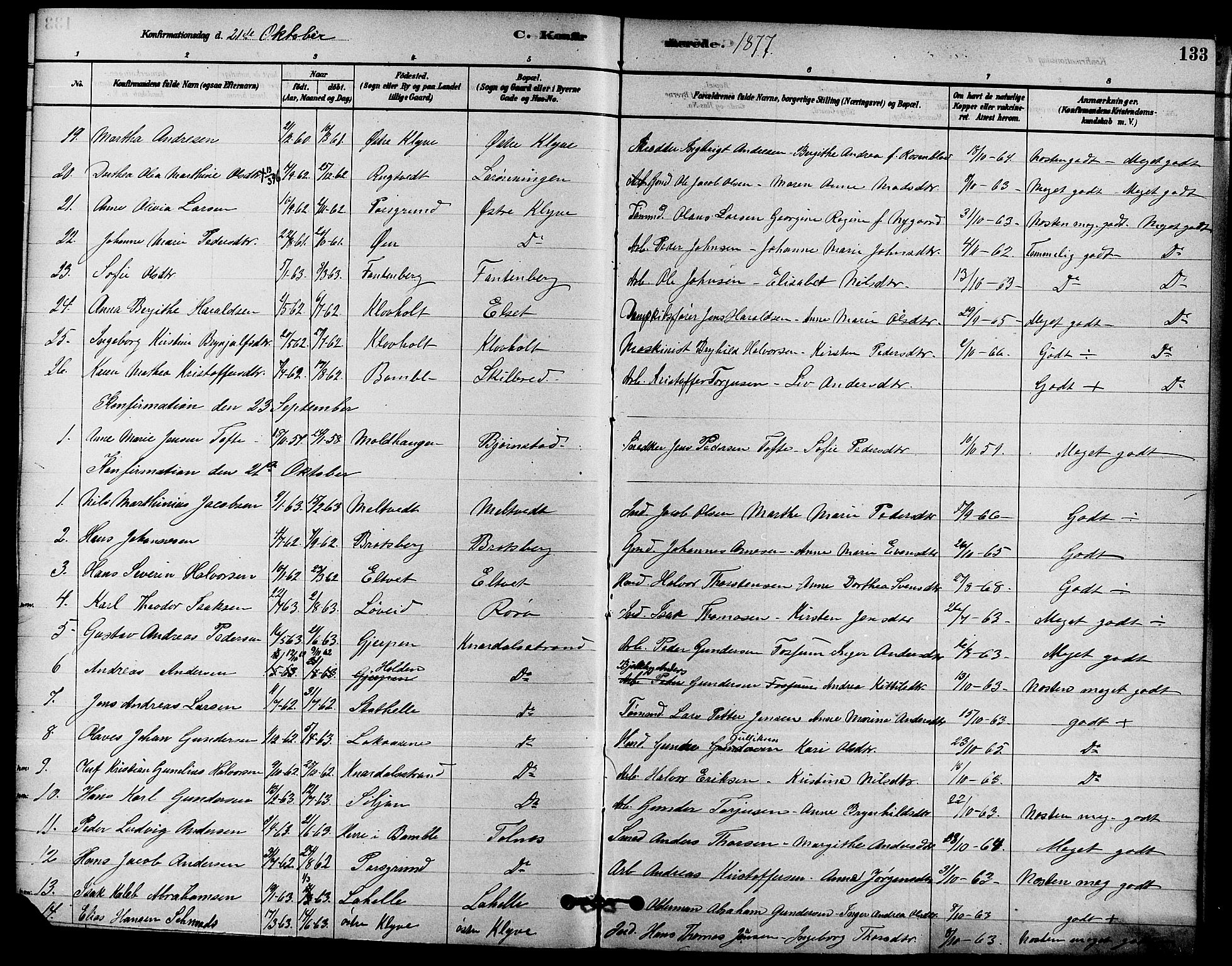 Solum kirkebøker, SAKO/A-306/F/Fa/L0009: Parish register (official) no. I 9, 1877-1887, p. 133
