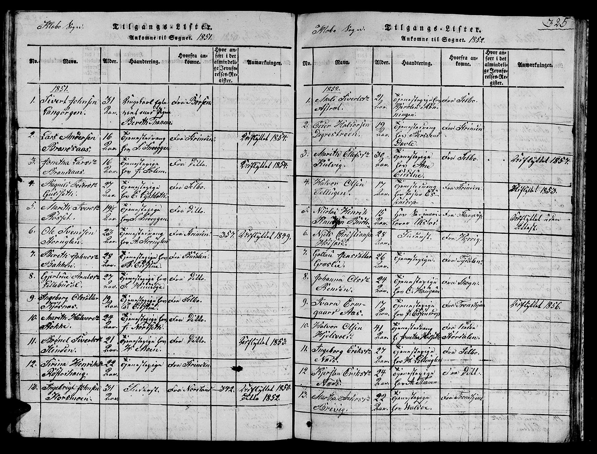 Ministerialprotokoller, klokkerbøker og fødselsregistre - Sør-Trøndelag, AV/SAT-A-1456/618/L0450: Parish register (copy) no. 618C01, 1816-1865, p. 325