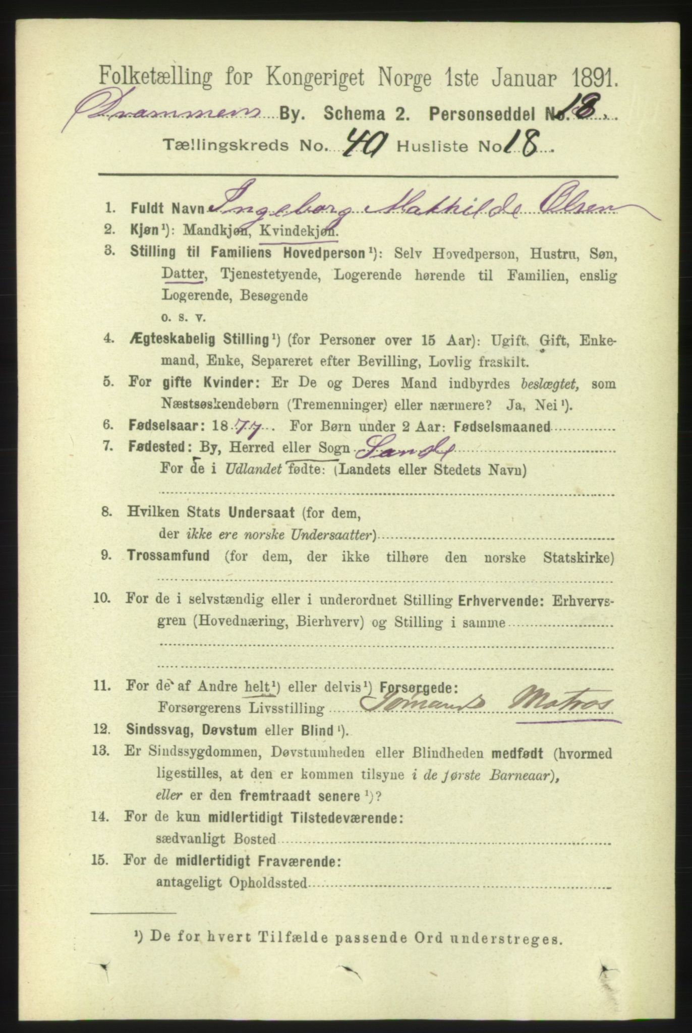 RA, 1891 census for 0602 Drammen, 1891, p. 23916