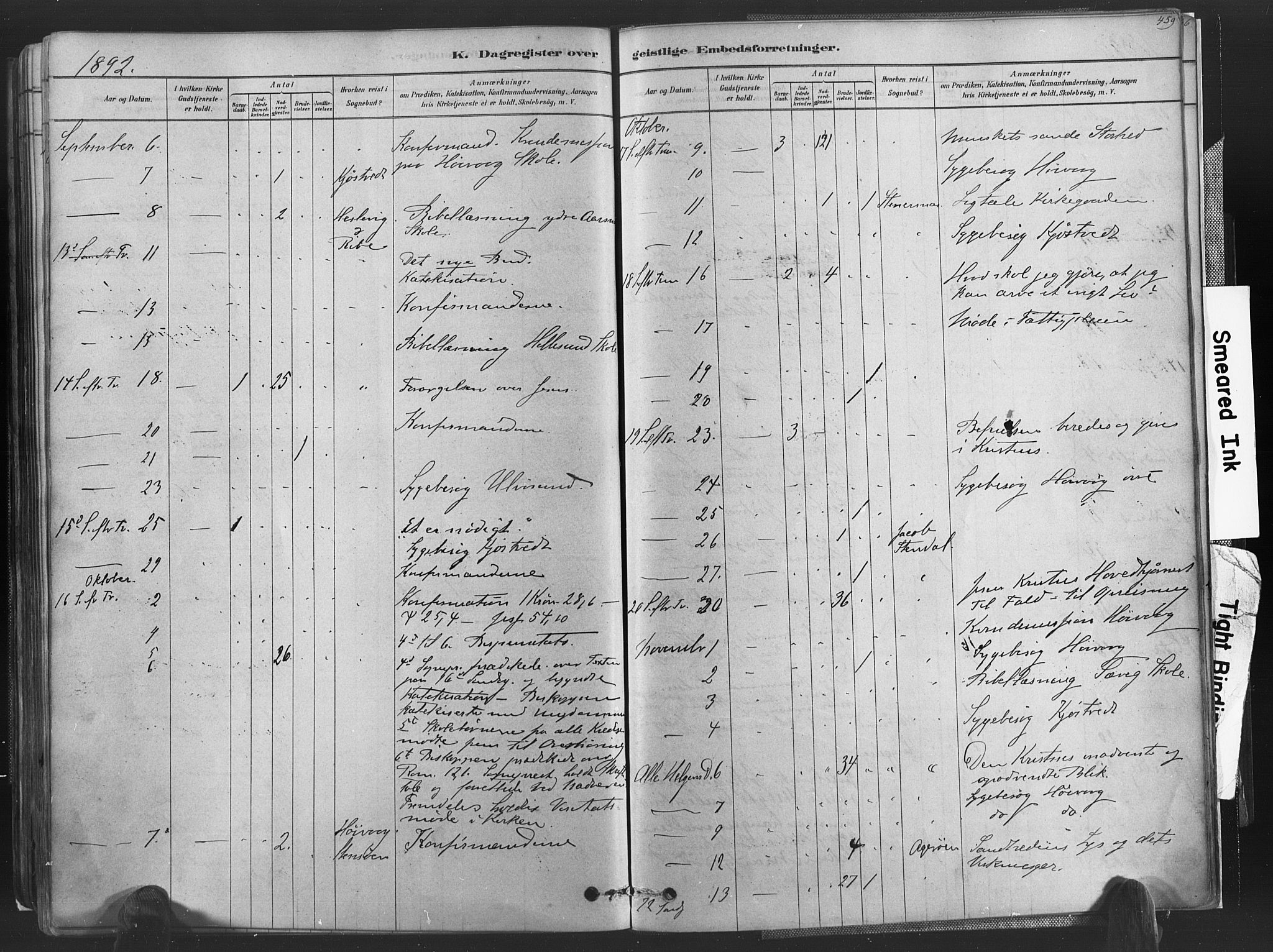 Høvåg sokneprestkontor, SAK/1111-0025/F/Fa/L0005: Parish register (official) no. A 5, 1878-1893, p. 459