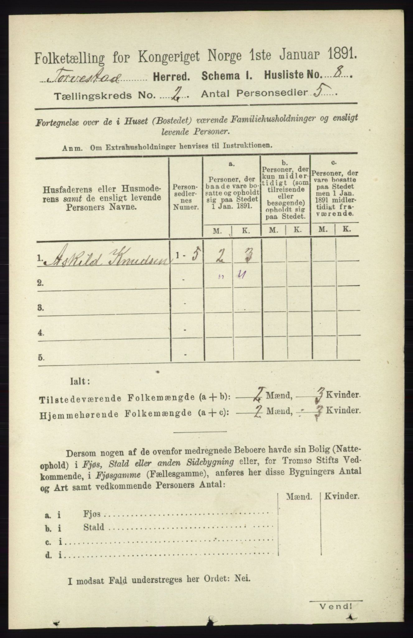 RA, 1891 census for 1152 Torvastad, 1891, p. 456