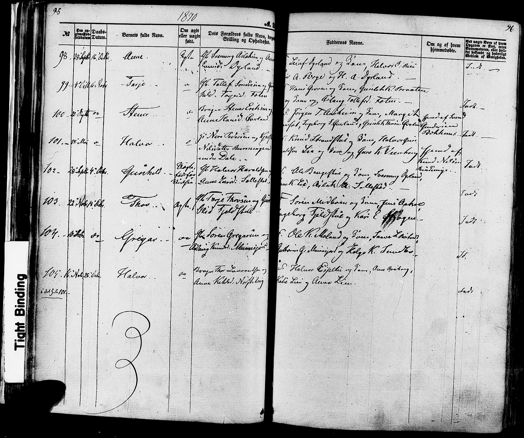 Seljord kirkebøker, SAKO/A-20/F/Fa/L0013: Parish register (official) no. I 13, 1866-1876, p. 95-96
