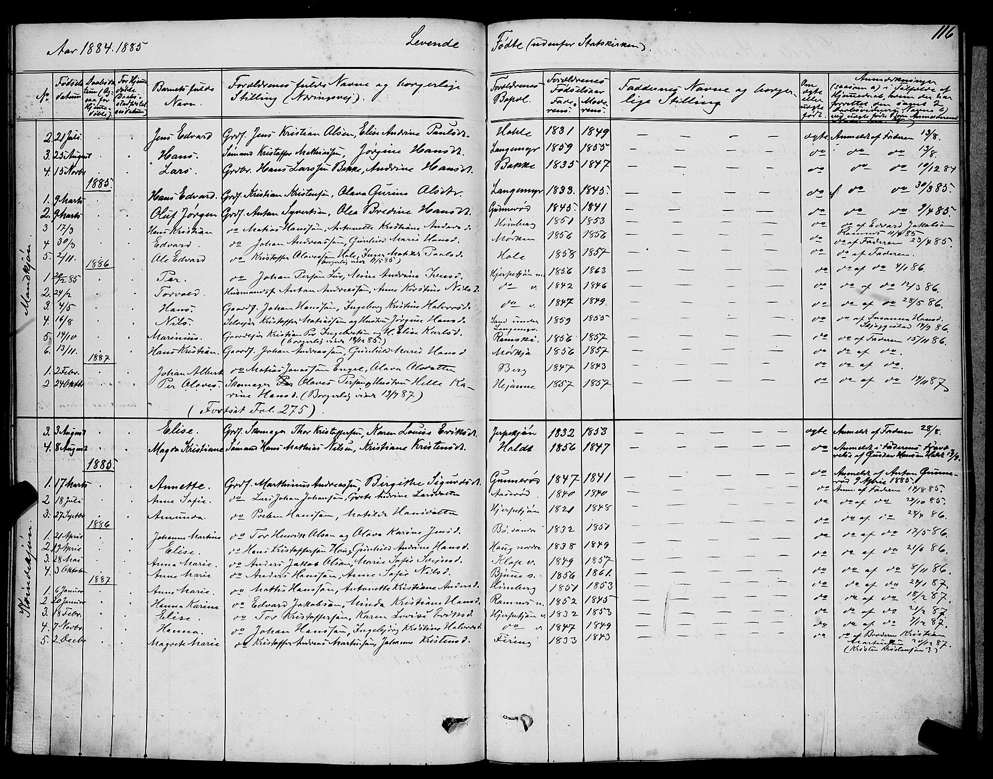 Ramnes kirkebøker, SAKO/A-314/G/Ga/L0003: Parish register (copy) no. I 3, 1870-1896, p. 116
