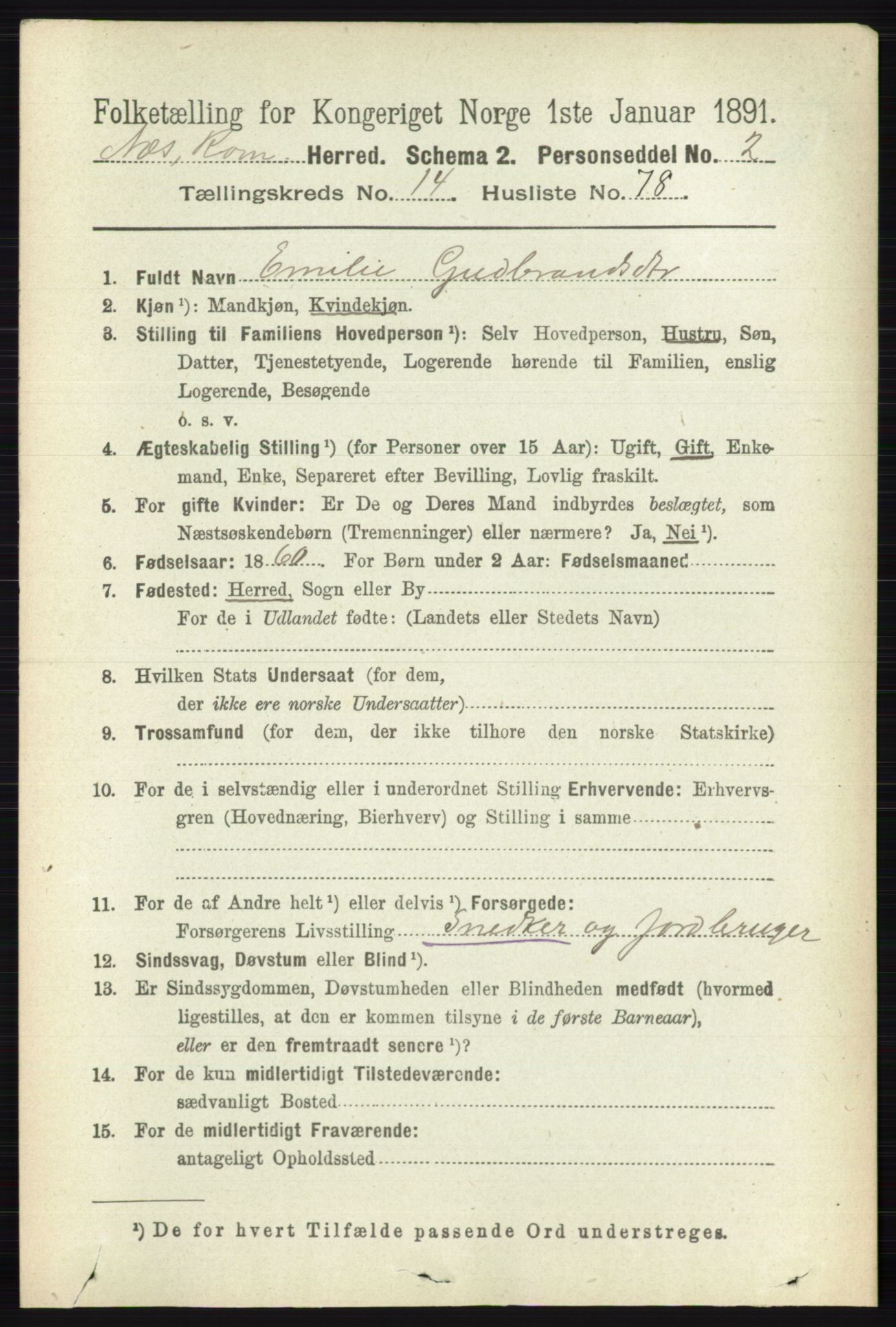 RA, 1891 census for 0236 Nes, 1891, p. 8913