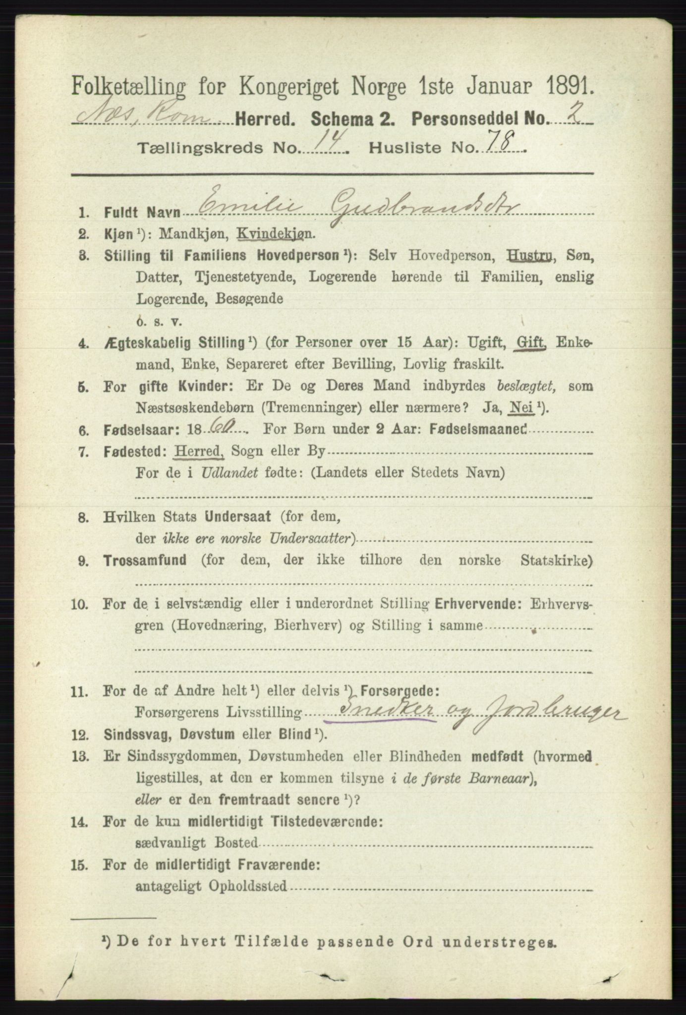 RA, 1891 census for 0236 Nes, 1891, p. 8913