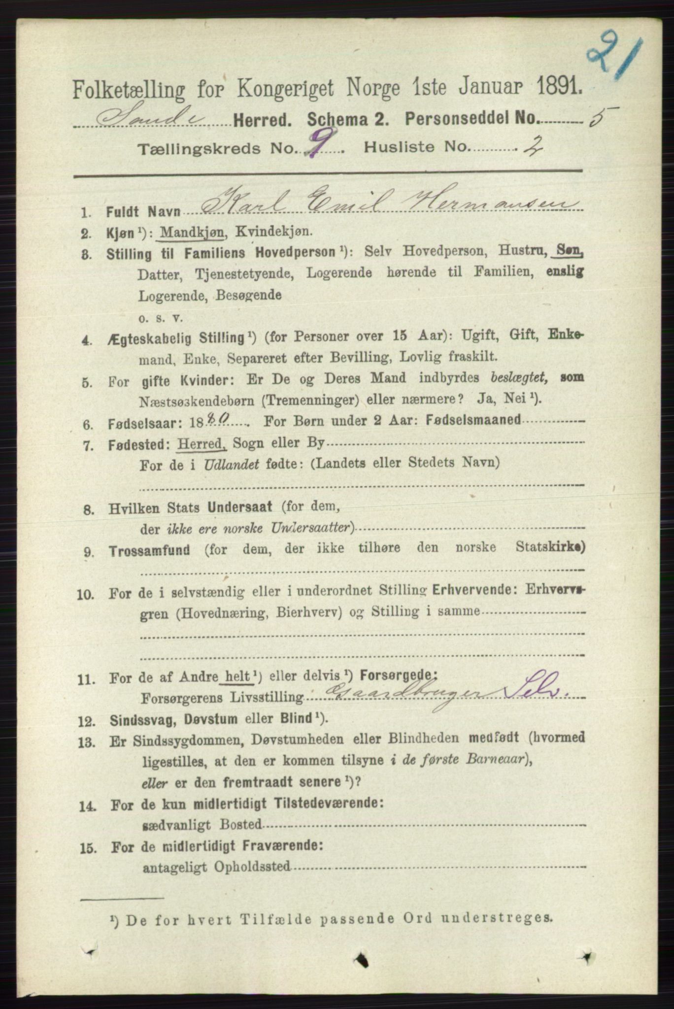 RA, 1891 census for 0713 Sande, 1891, p. 3942