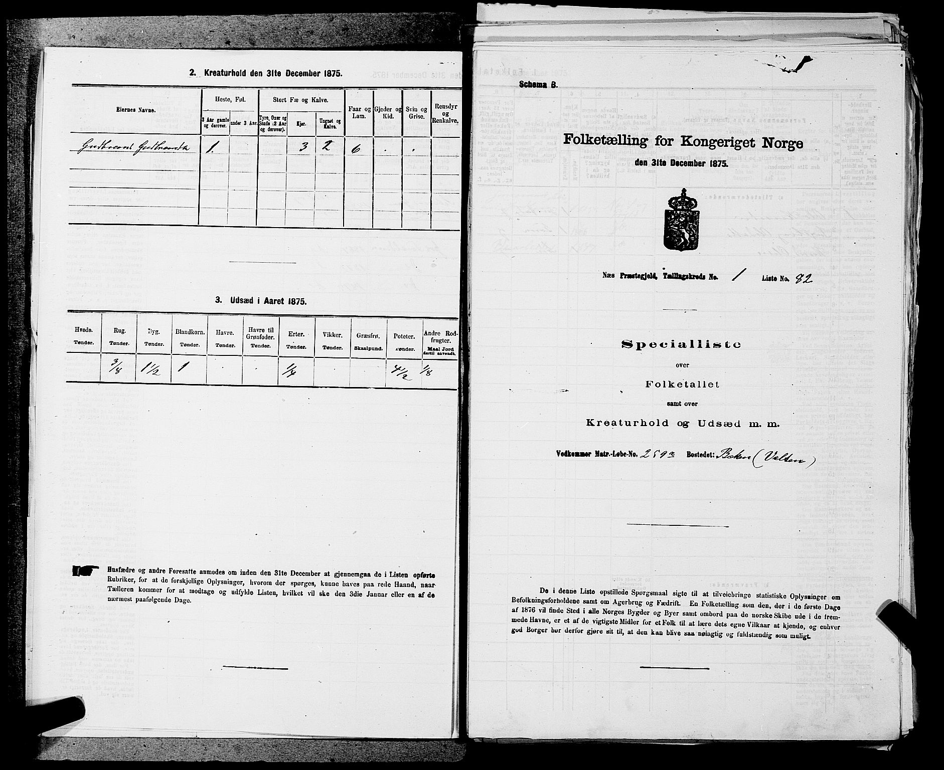 SAKO, 1875 census for 0616P Nes, 1875, p. 59