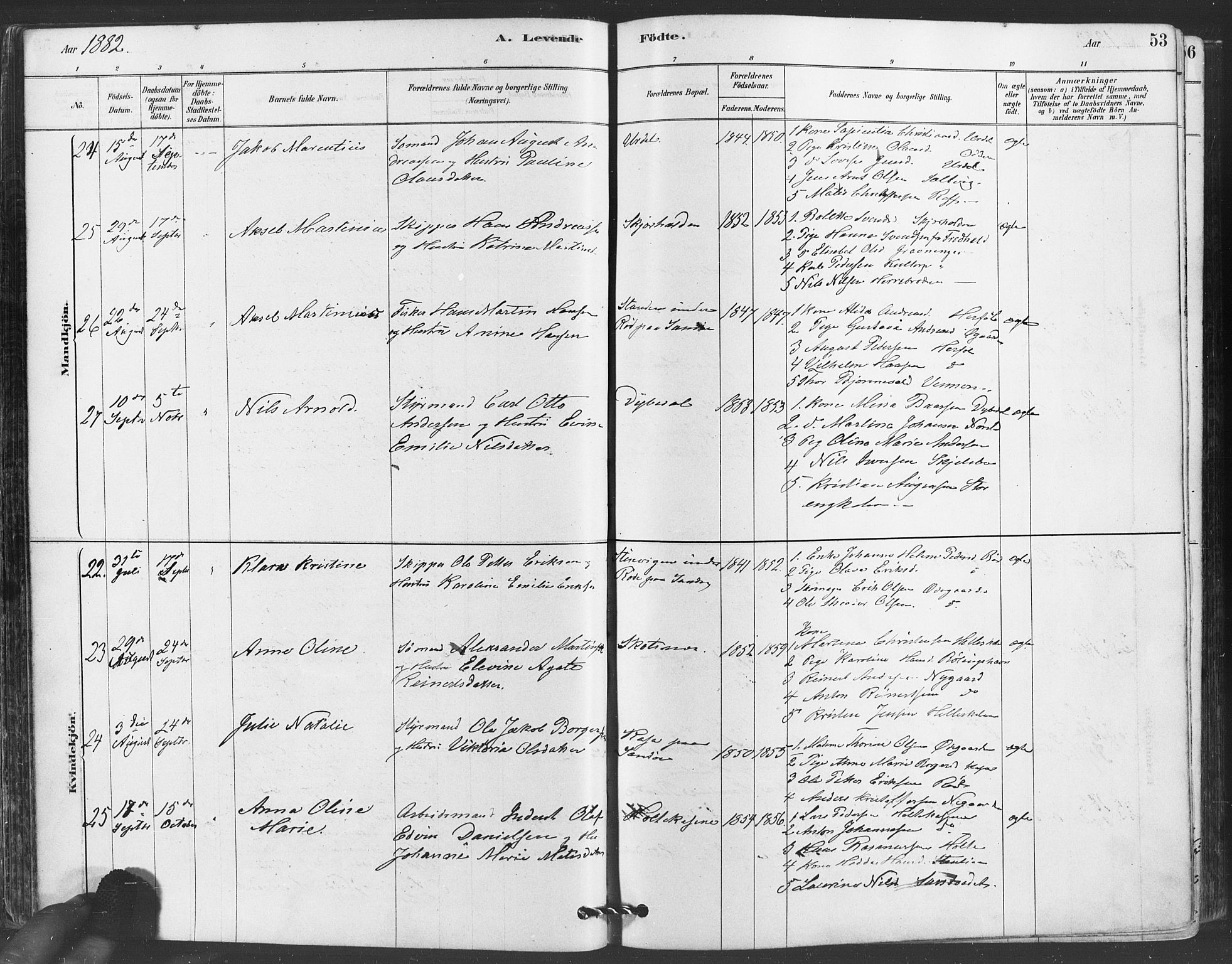 Hvaler prestekontor Kirkebøker, AV/SAO-A-2001/F/Fa/L0008: Parish register (official) no. I 8, 1878-1895, p. 53