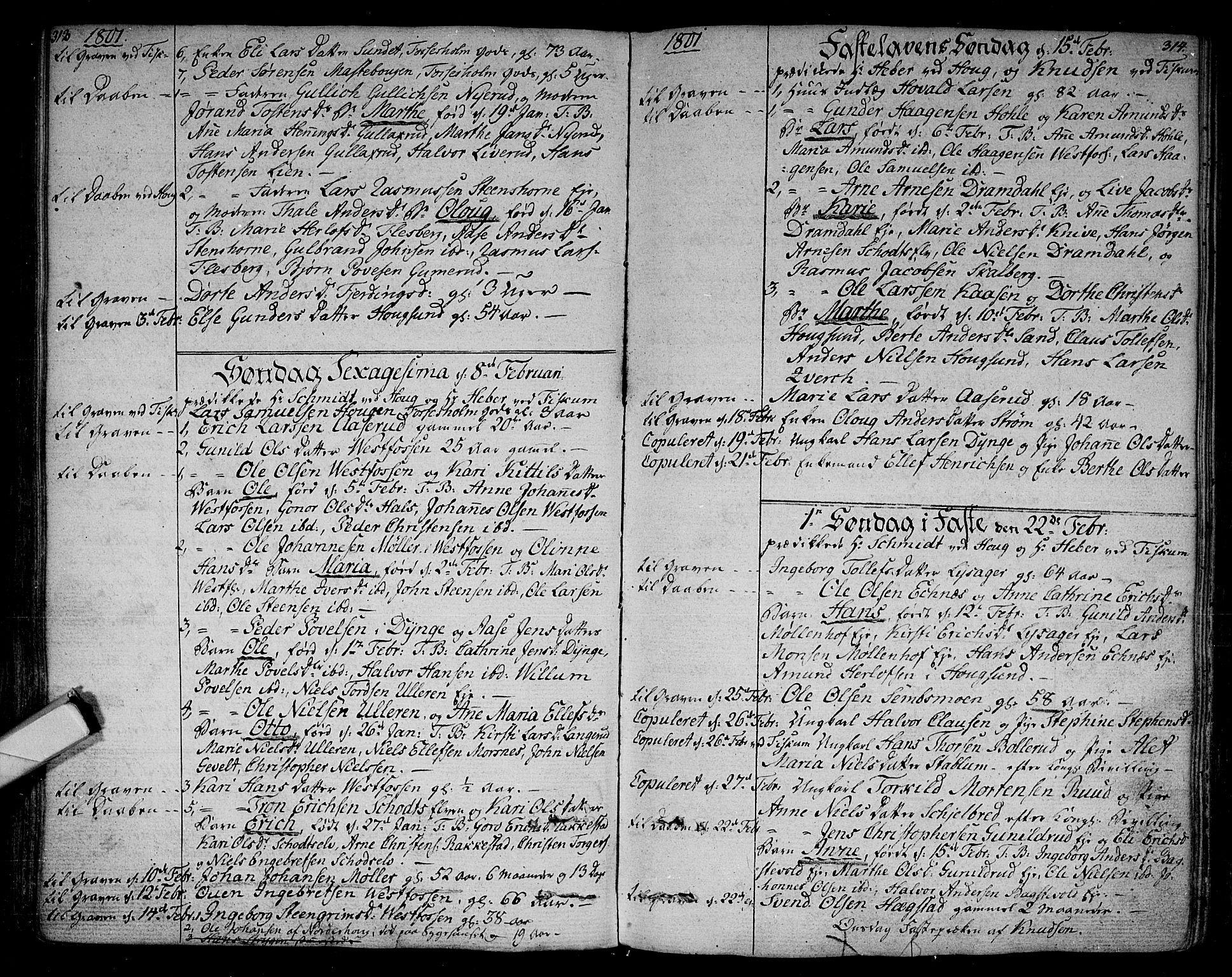 Eiker kirkebøker, SAKO/A-4/F/Fa/L0009: Parish register (official) no. I 9, 1789-1806, p. 313-314