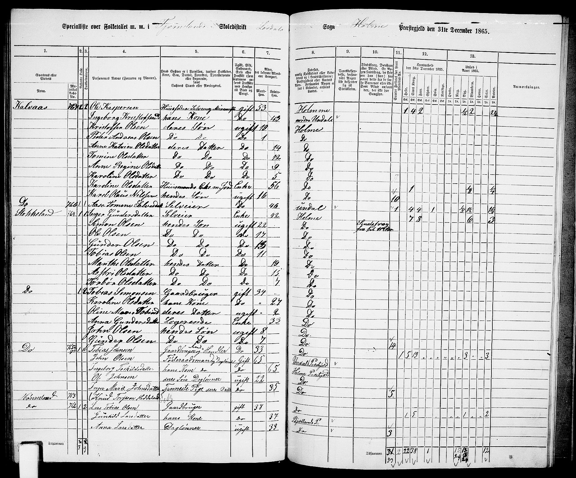 RA, 1865 census for Holum, 1865, p. 152