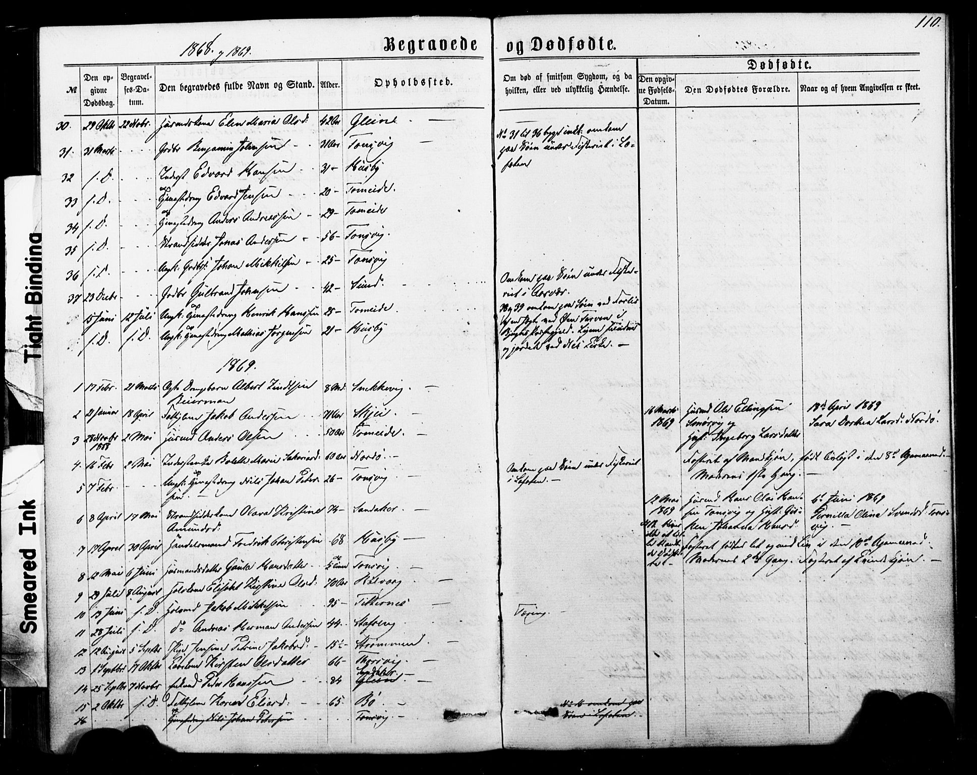 Ministerialprotokoller, klokkerbøker og fødselsregistre - Nordland, SAT/A-1459/835/L0524: Parish register (official) no. 835A02, 1865-1880, p. 110