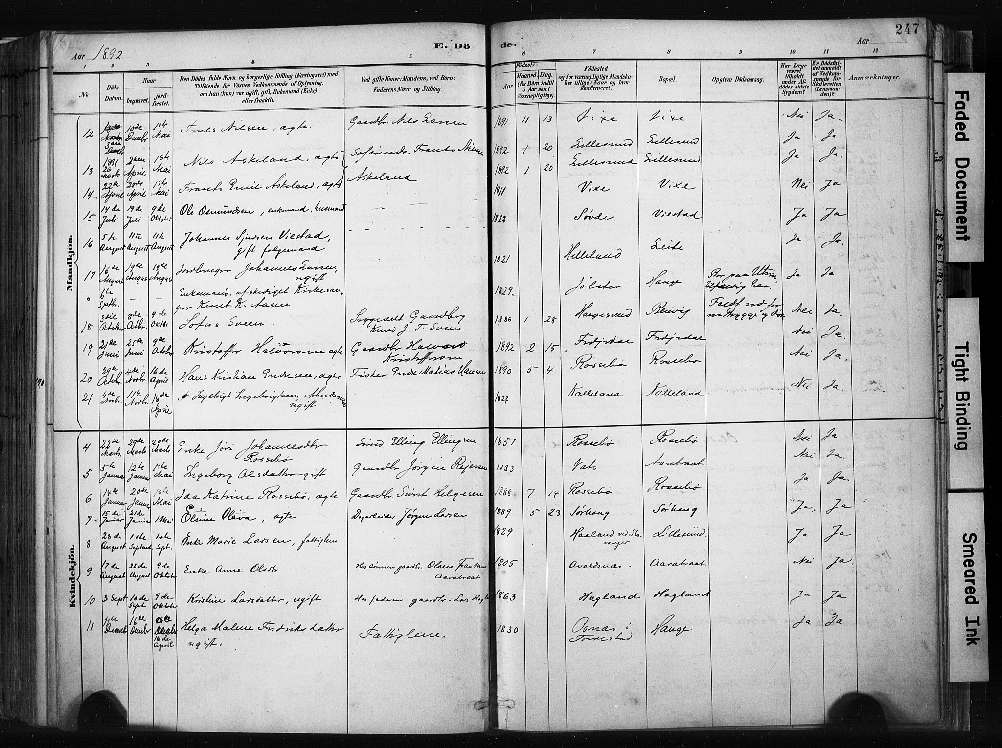 Haugesund sokneprestkontor, SAST/A -101863/H/Ha/Haa/L0004: Parish register (official) no. A 4, 1886-1908, p. 247