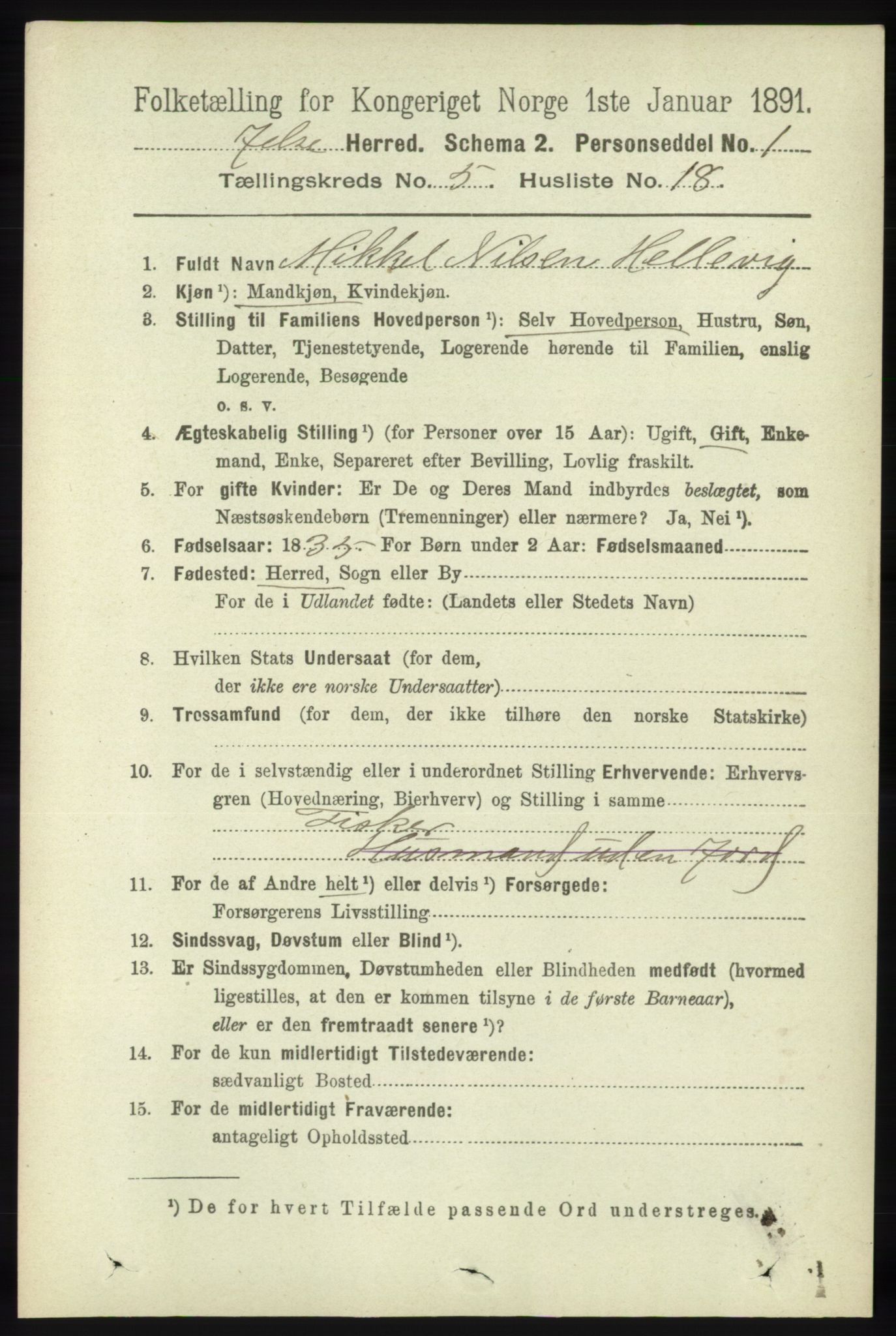 RA, 1891 census for 1138 Jelsa, 1891, p. 1144