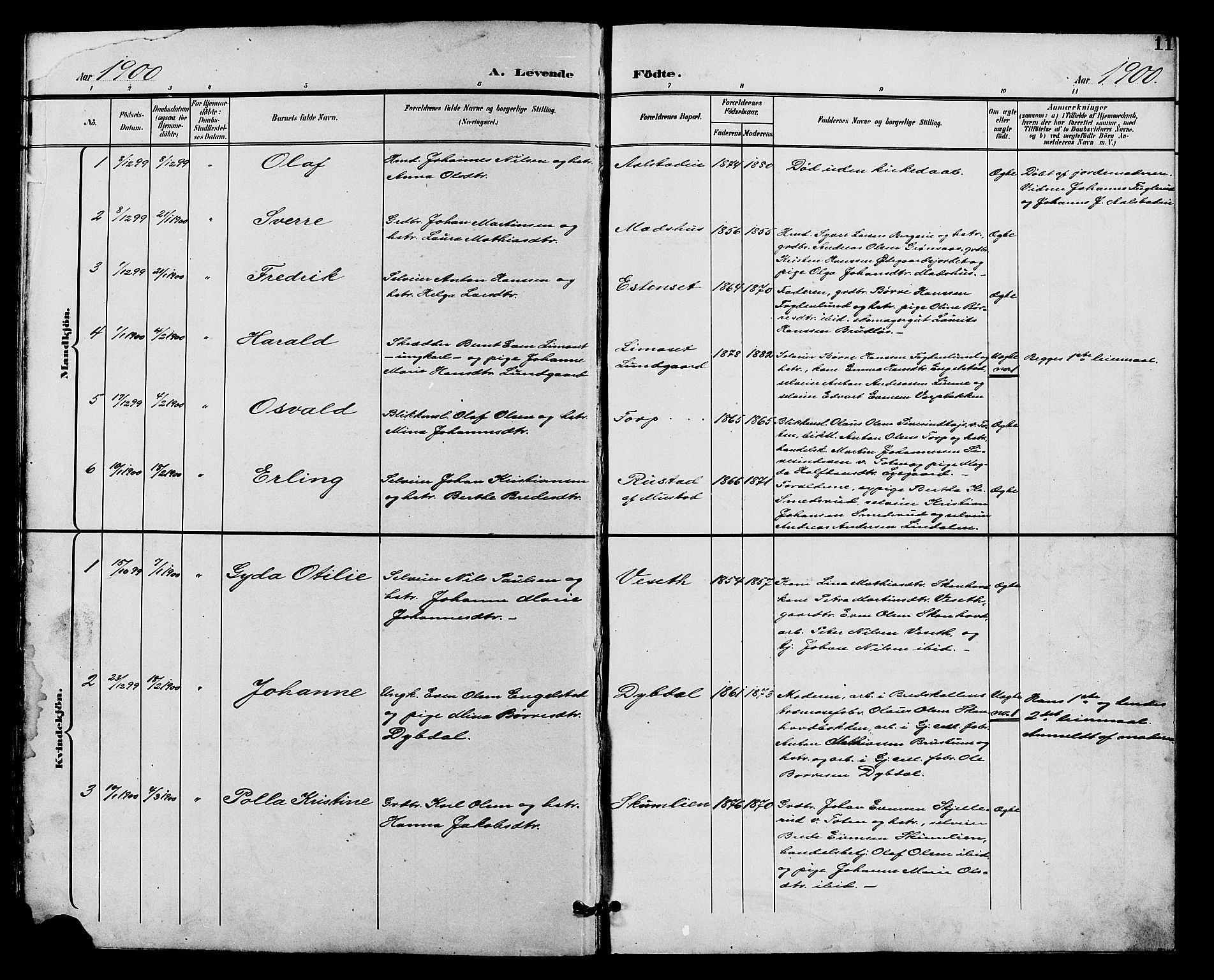 Vardal prestekontor, AV/SAH-PREST-100/H/Ha/Hab/L0011: Parish register (copy) no. 11, 1899-1913, p. 11