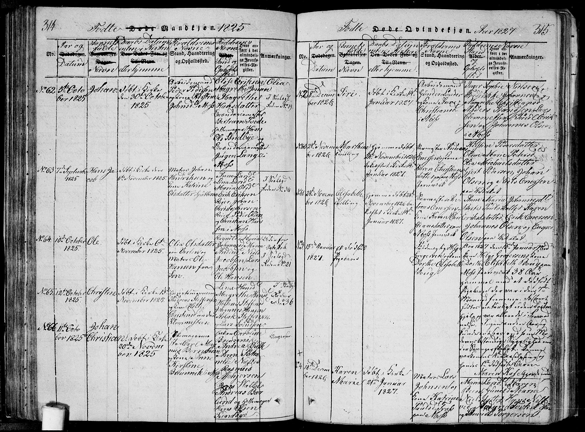 Moss prestekontor Kirkebøker, SAO/A-2003/F/Fa/L0005: Parish register (official) no. I 5, 1814-1828, p. 314-315