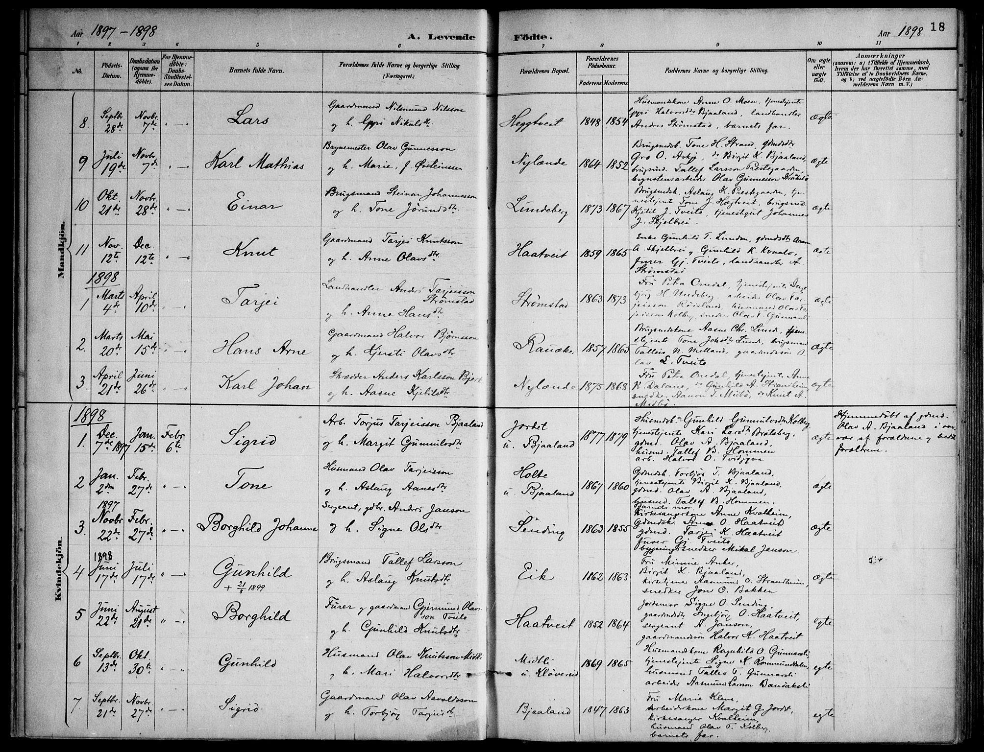 Lårdal kirkebøker, SAKO/A-284/F/Fa/L0007: Parish register (official) no. I 7, 1887-1906, p. 18