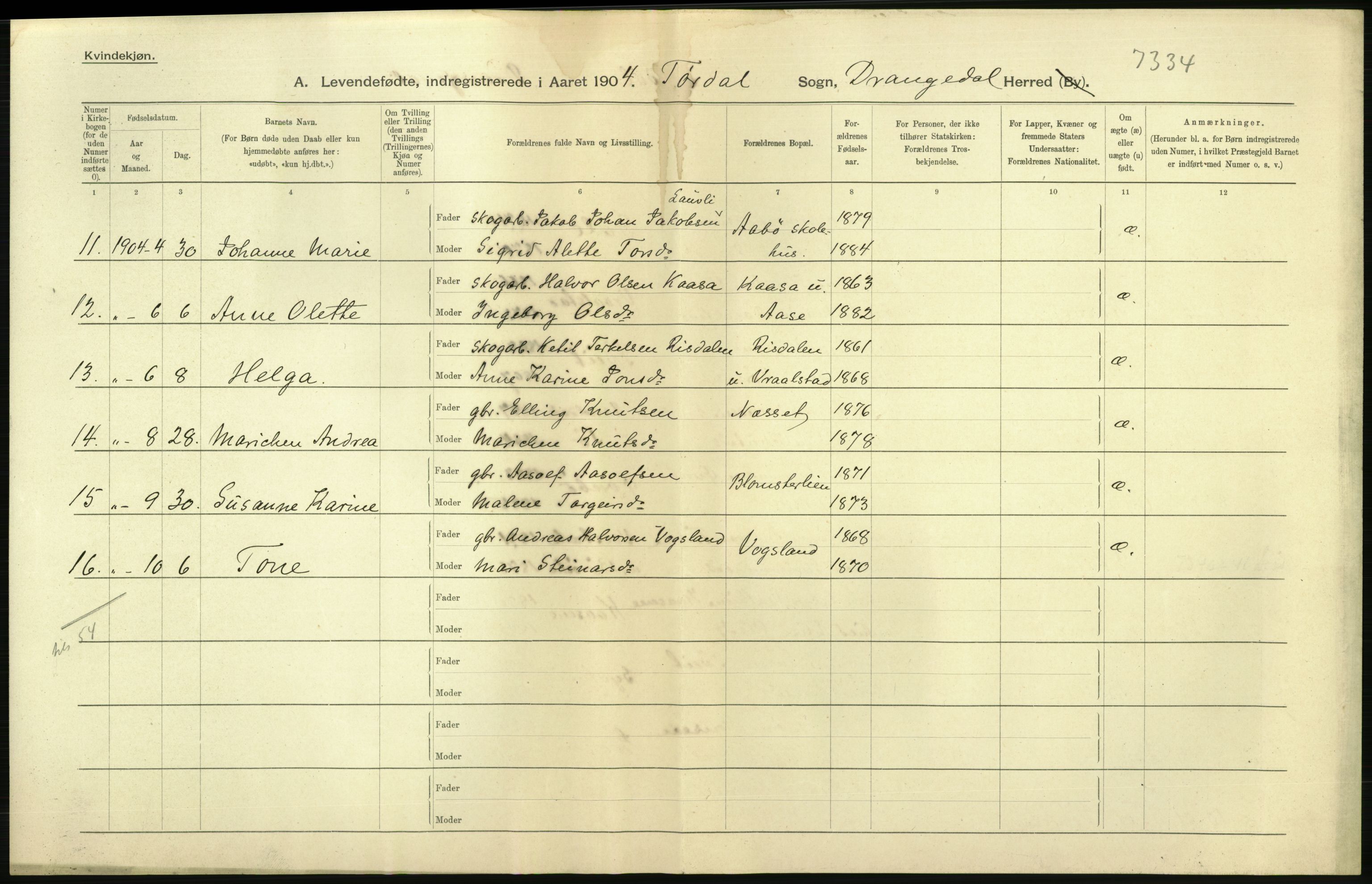 Statistisk sentralbyrå, Sosiodemografiske emner, Befolkning, AV/RA-S-2228/D/Df/Dfa/Dfab/L0009: Bratsberg amt: Fødte, gifte, døde, 1904, p. 12