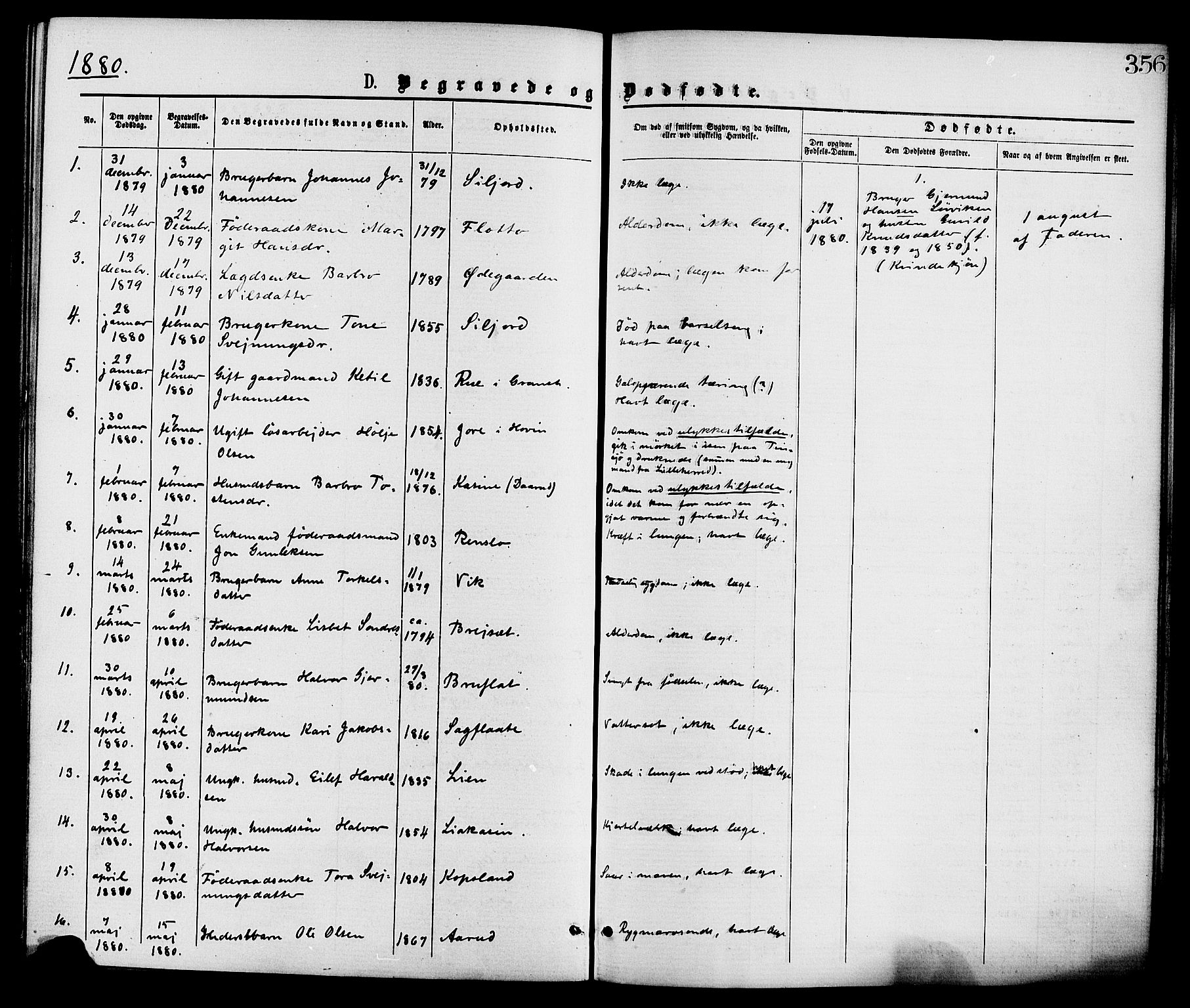 Gransherad kirkebøker, SAKO/A-267/F/Fa/L0004: Parish register (official) no. I 4, 1871-1886, p. 356