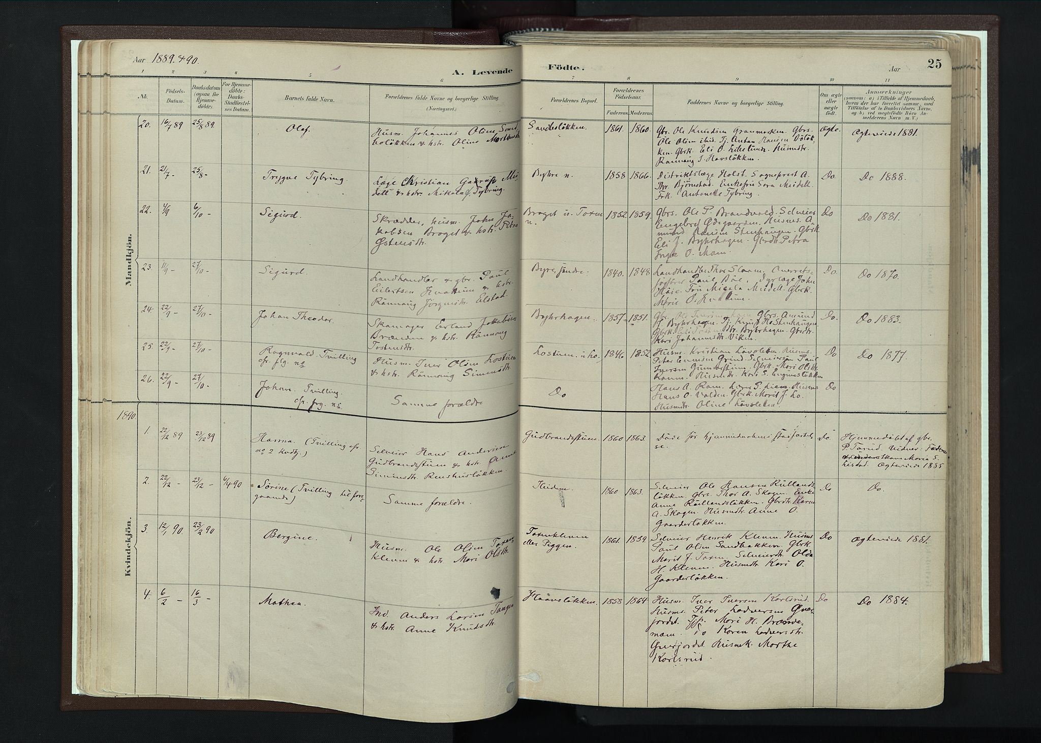 Nord-Fron prestekontor, AV/SAH-PREST-080/H/Ha/Haa/L0004: Parish register (official) no. 4, 1884-1914, p. 25