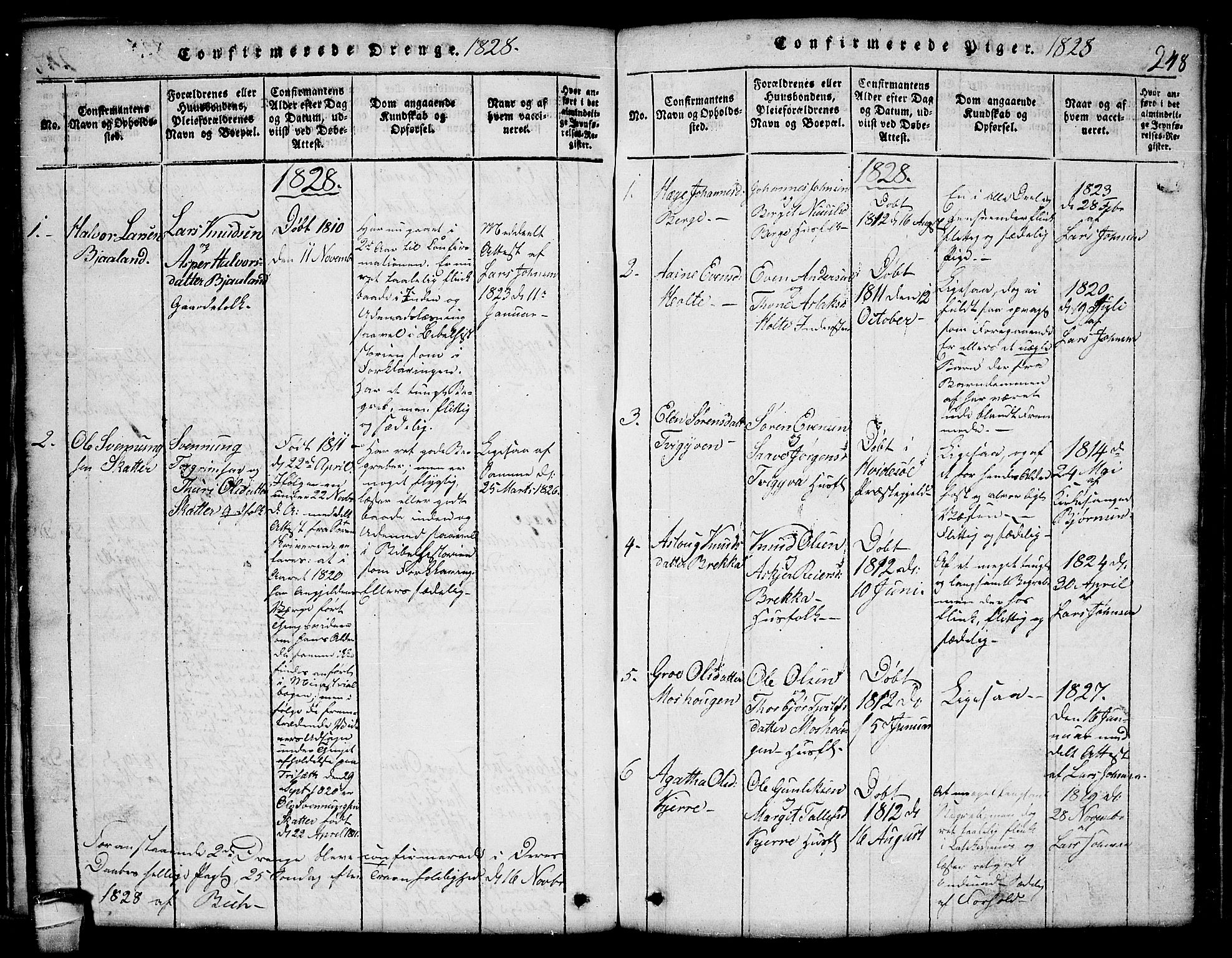 Lårdal kirkebøker, SAKO/A-284/G/Ga/L0001: Parish register (copy) no. I 1, 1815-1861, p. 248