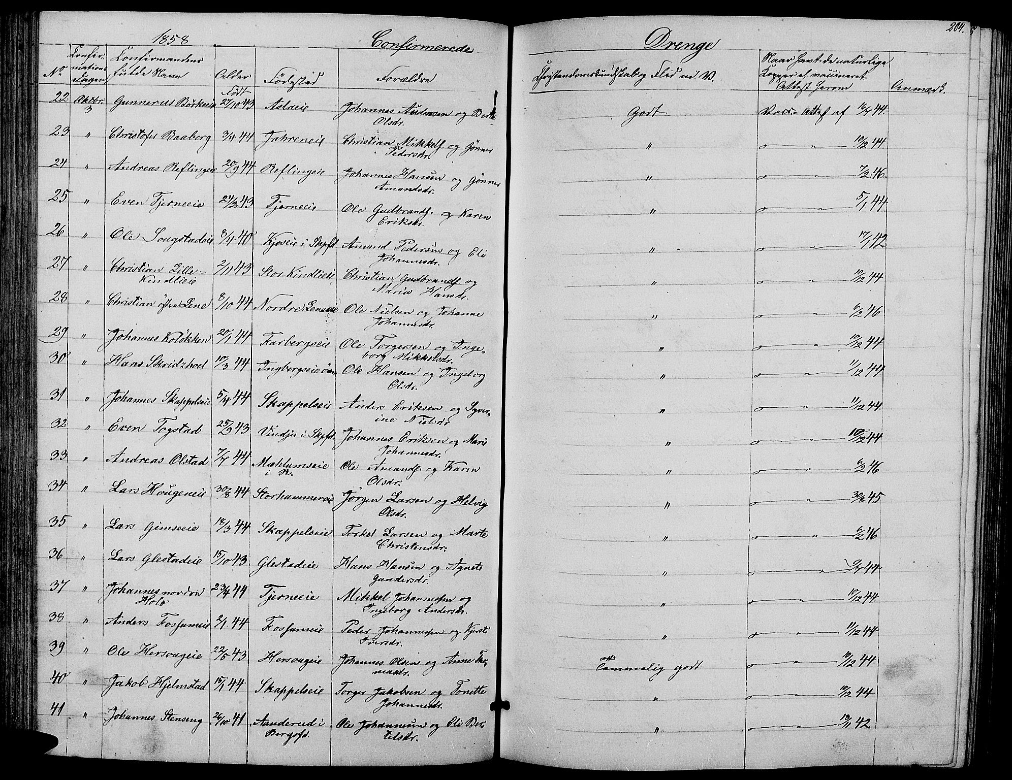 Ringsaker prestekontor, AV/SAH-PREST-014/L/La/L0006: Parish register (copy) no. 6, 1851-1860, p. 204