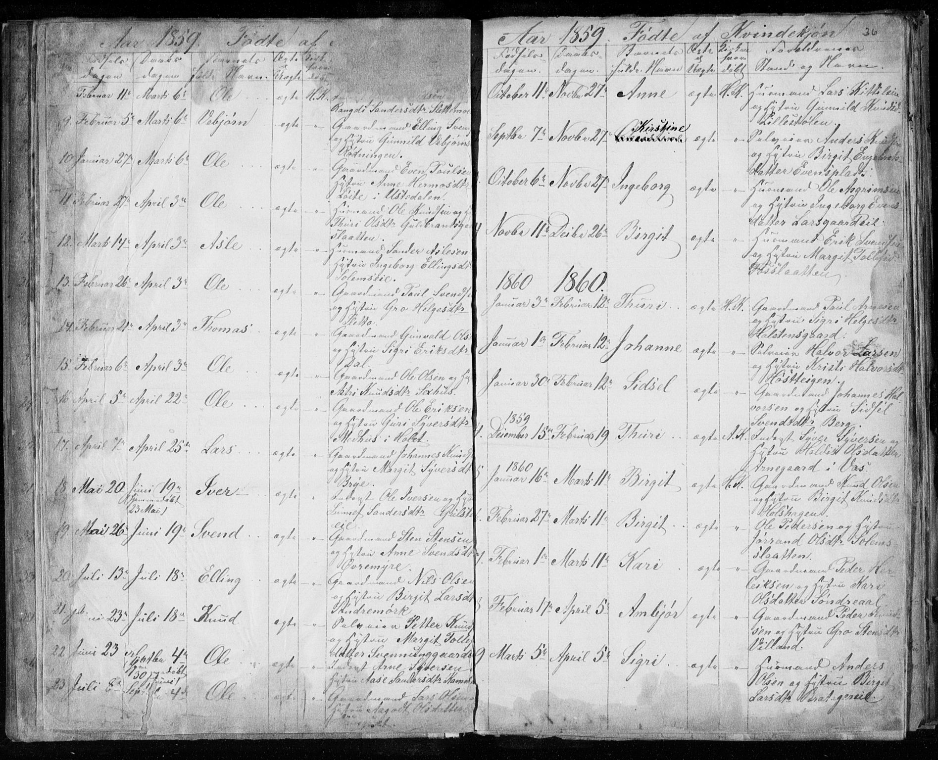 Hol kirkebøker, SAKO/A-227/F/Fa/L0001: Parish register (official) no. I 1, 1850-1870, p. 35-36