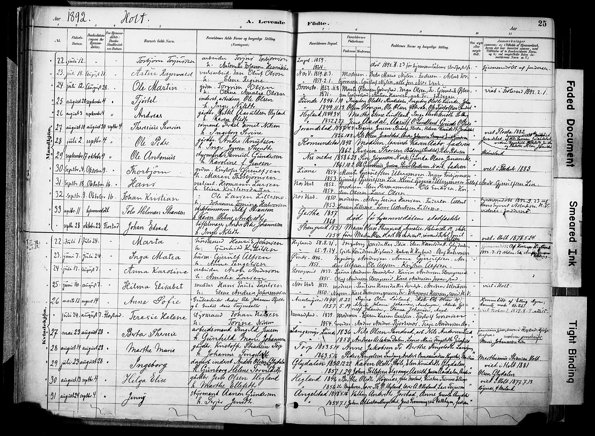 Holt sokneprestkontor, AV/SAK-1111-0021/F/Fa/L0012: Parish register (official) no. A 12, 1885-1907, p. 25