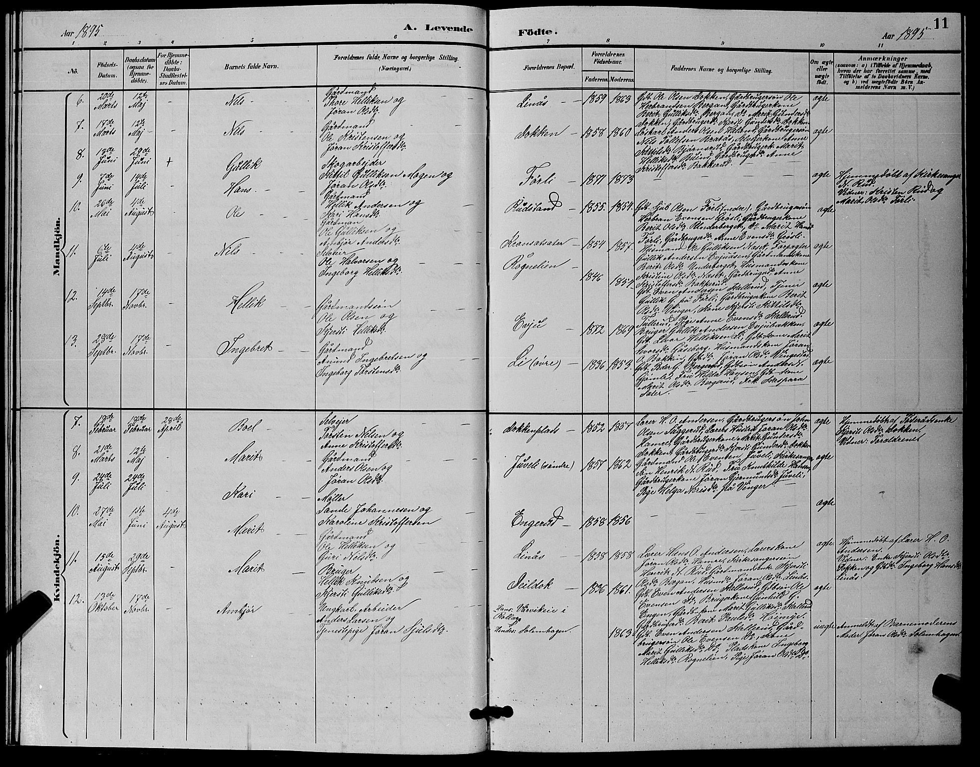 Flesberg kirkebøker, AV/SAKO-A-18/G/Ga/L0004: Parish register (copy) no. I 4 /1, 1890-1898, p. 11