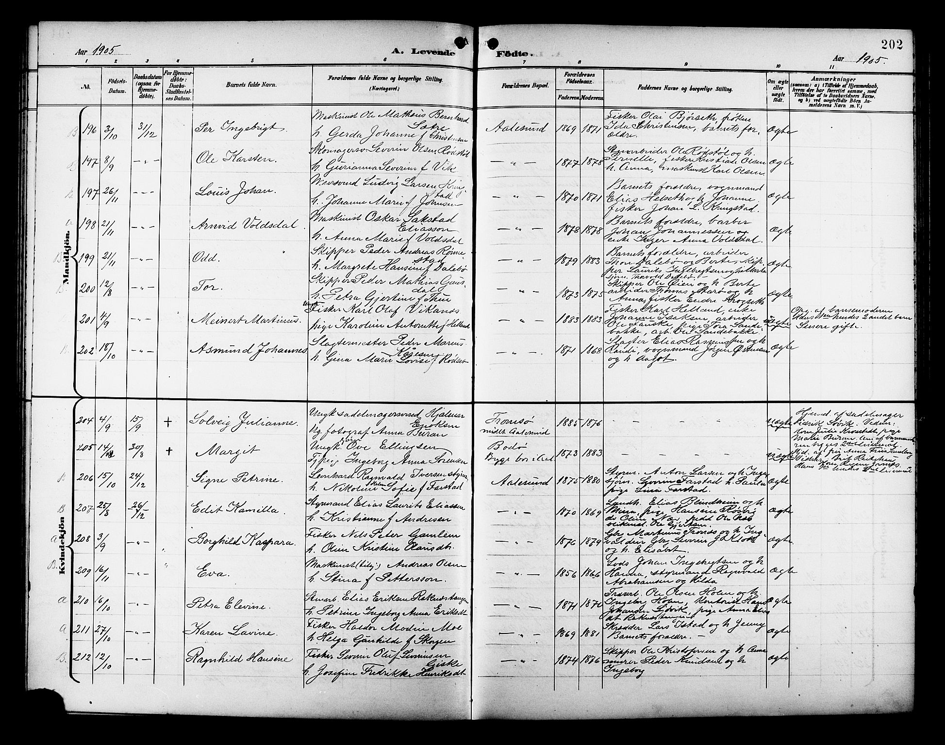 Ministerialprotokoller, klokkerbøker og fødselsregistre - Møre og Romsdal, SAT/A-1454/529/L0468: Parish register (copy) no. 529C05, 1897-1908, p. 202
