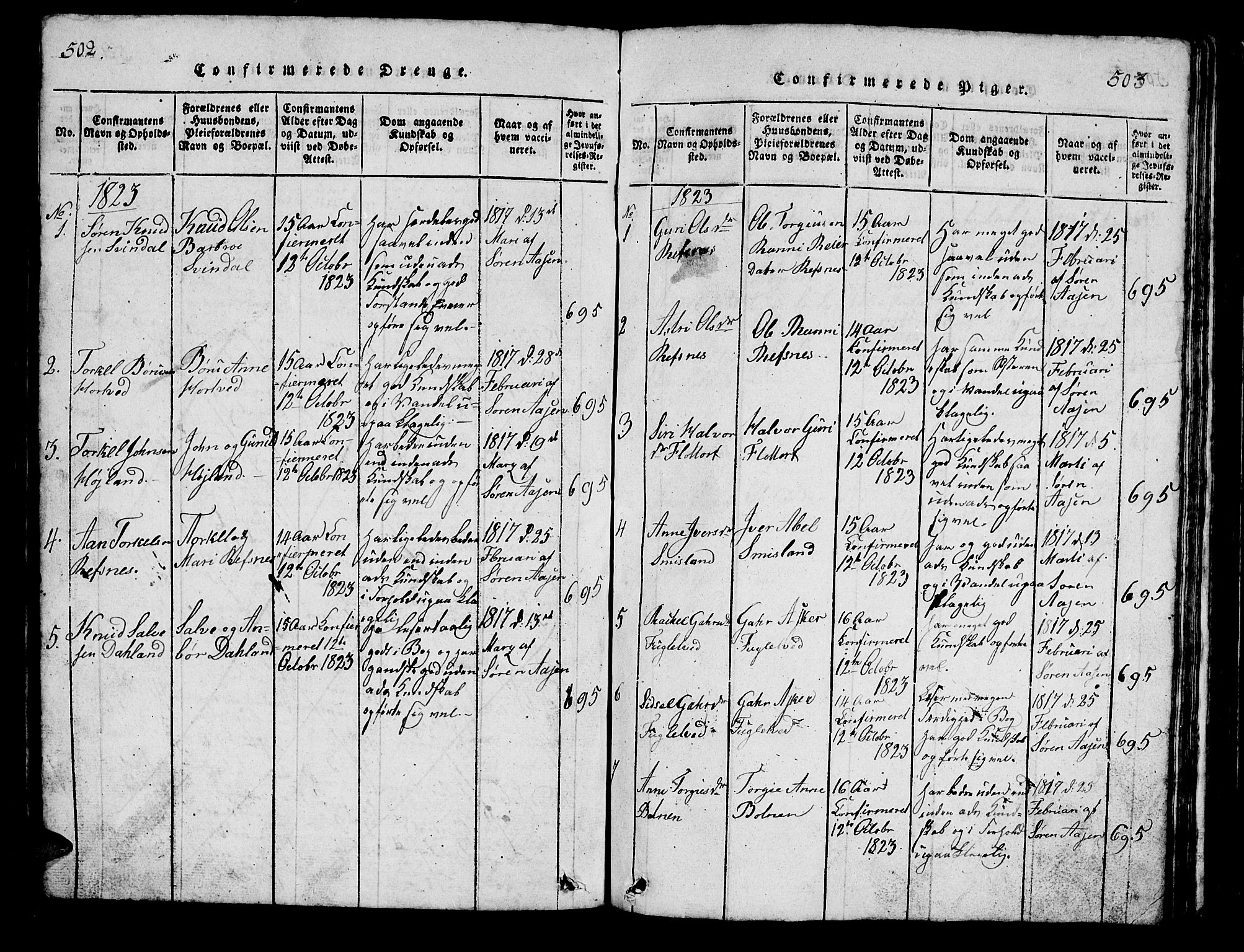 Bjelland sokneprestkontor, AV/SAK-1111-0005/F/Fb/Fbc/L0001: Parish register (copy) no. B 1, 1815-1870, p. 502-503