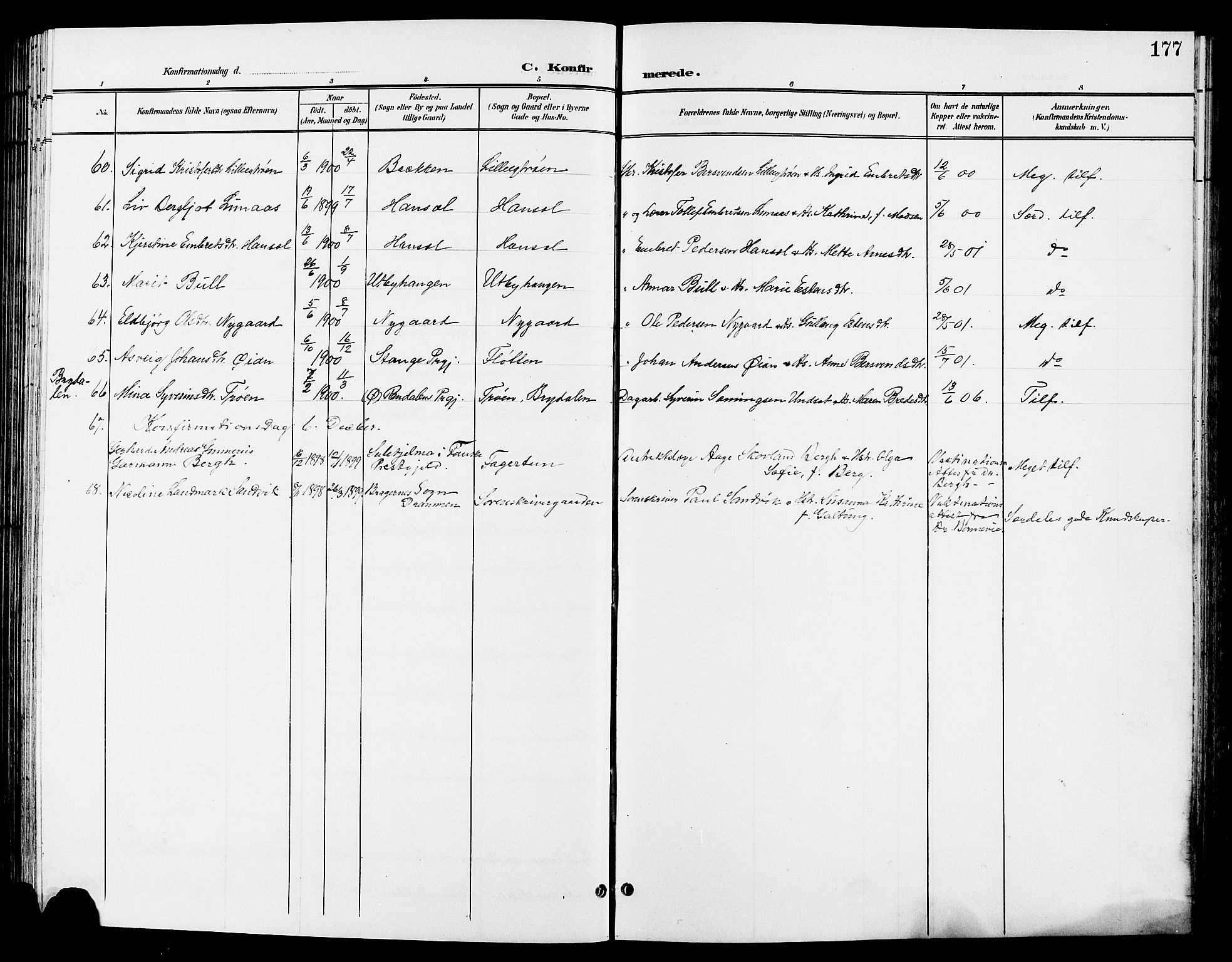 Tynset prestekontor, SAH/PREST-058/H/Ha/Hab/L0009: Parish register (copy) no. 9, 1900-1914, p. 177