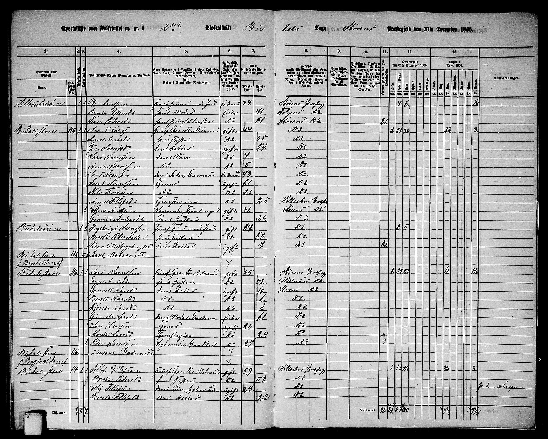 RA, 1865 census for Støren, 1865, p. 313