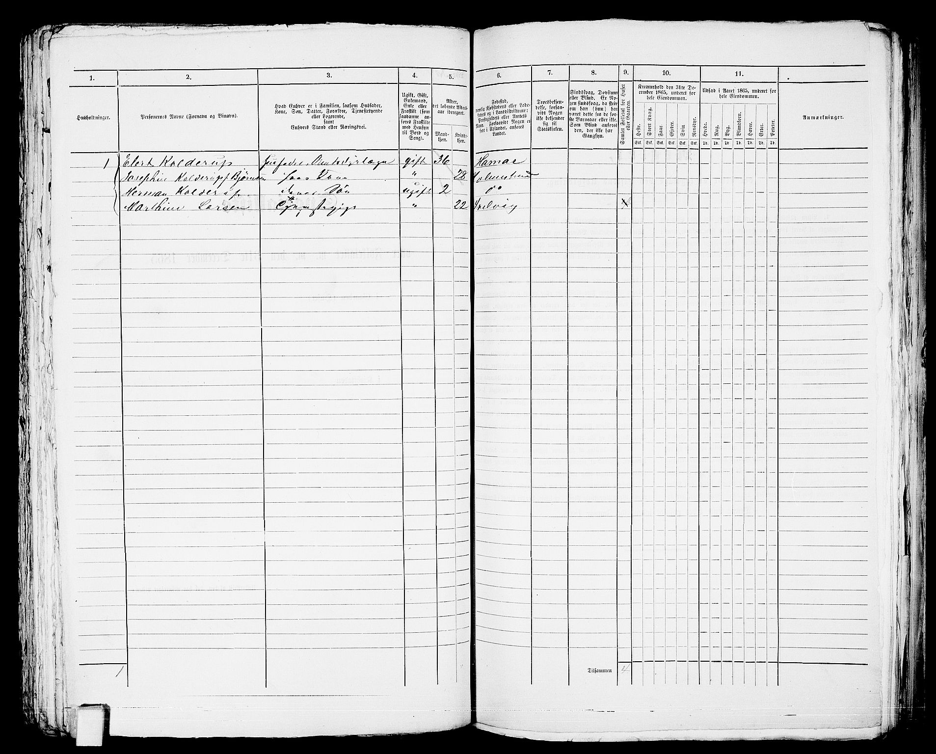 RA, 1865 census for Botne/Holmestrand, 1865, p. 262