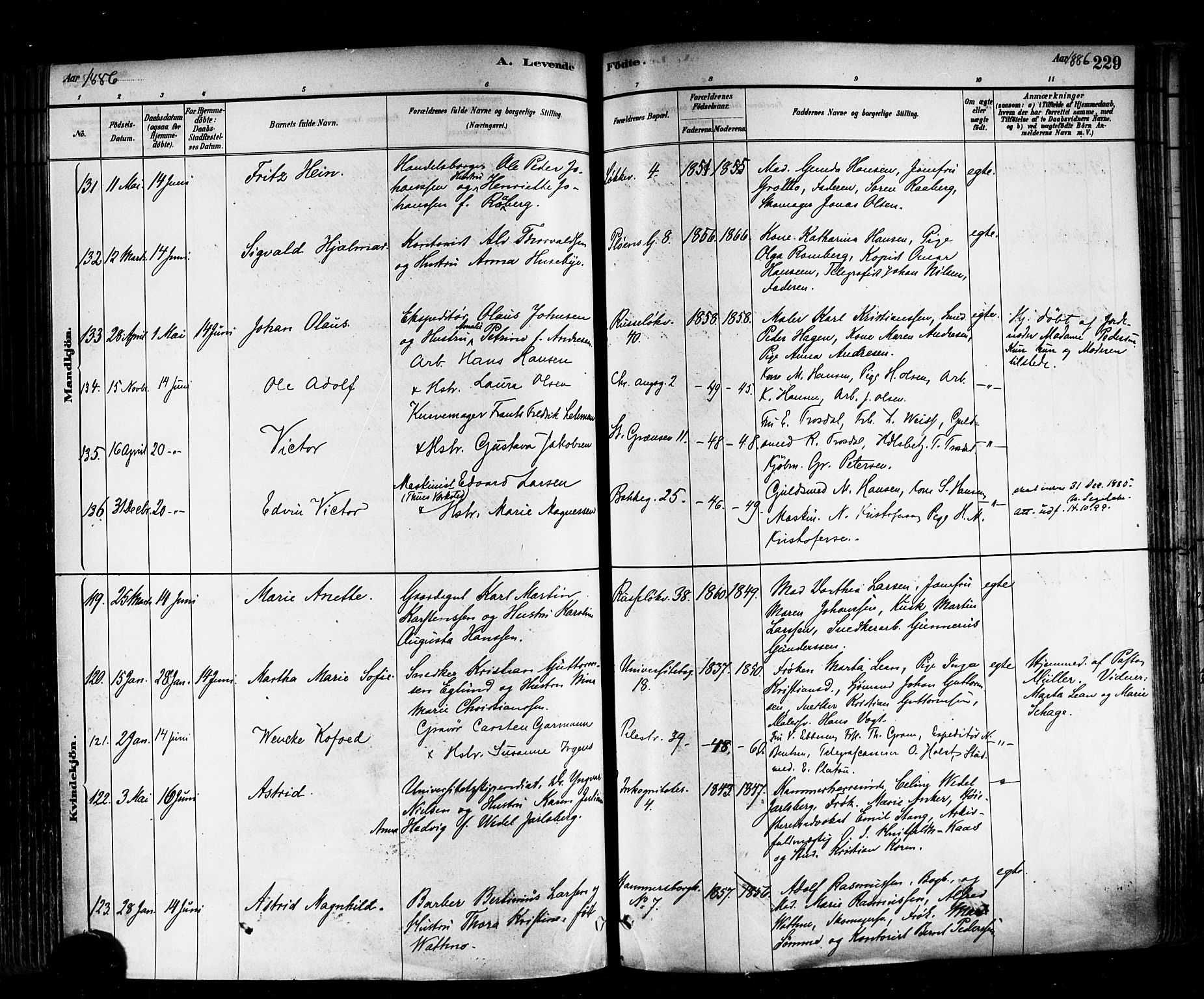 Trefoldighet prestekontor Kirkebøker, SAO/A-10882/F/Fa/L0005: Parish register (official) no. I 5, 1881-1891, p. 229